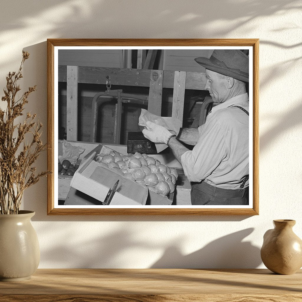 Farm Worker at Yakima Apple Packing School 1941