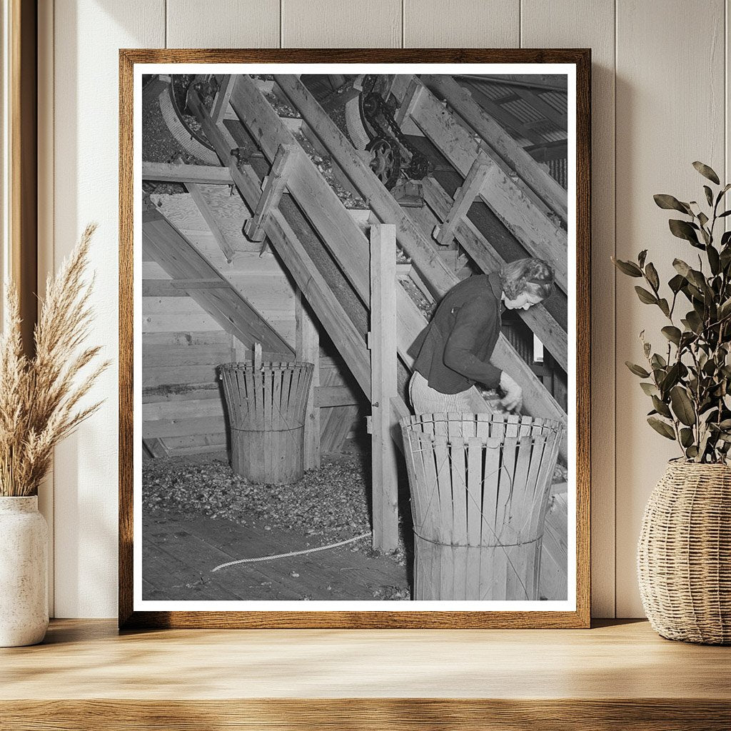 Vintage 1941 Hop Picker in Yakima County Washington