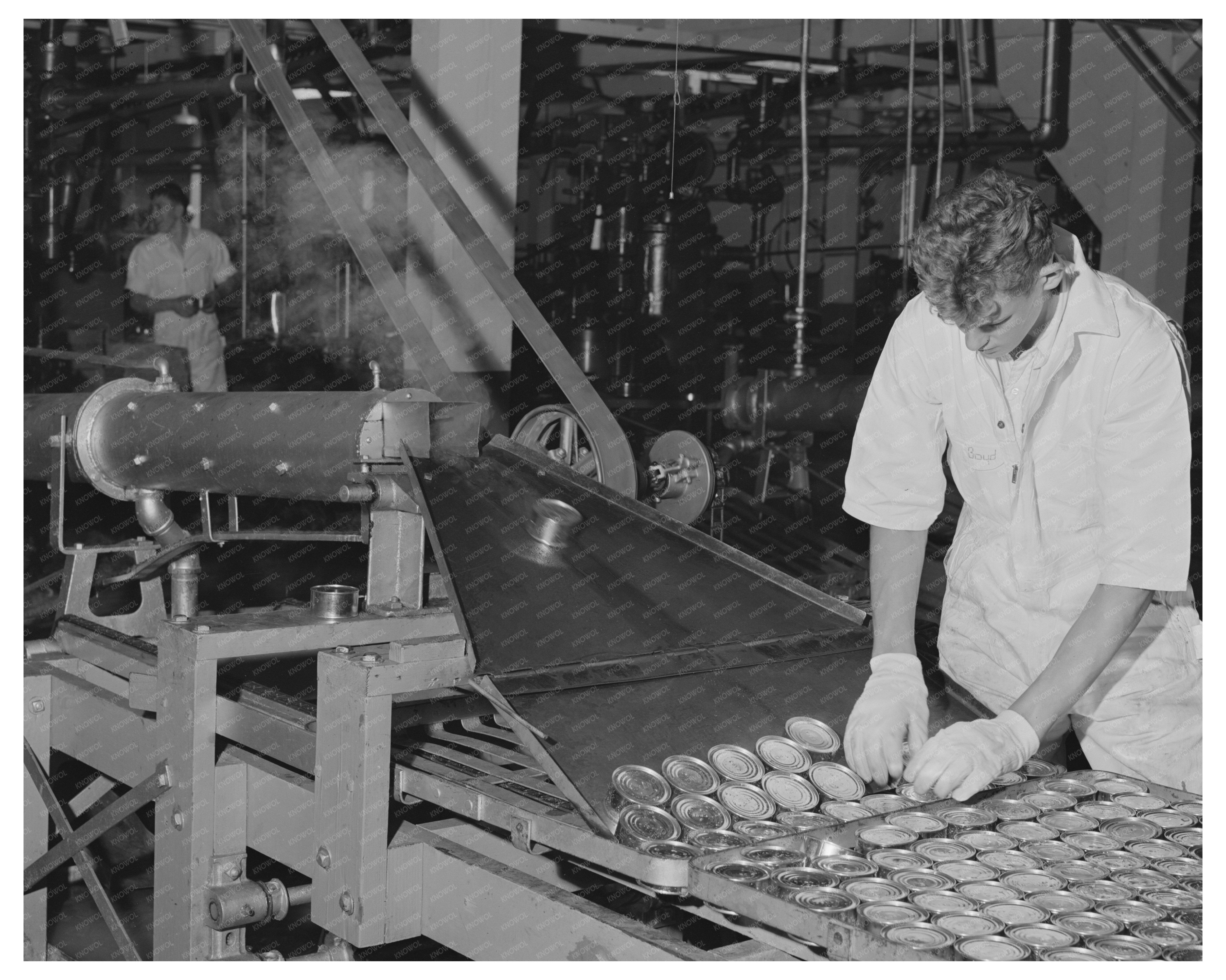 Canned Tuna Processing at Columbia River Packing 1941