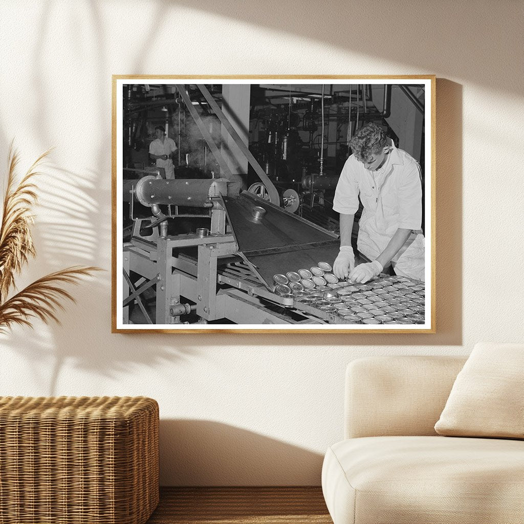 Canned Tuna Processing at Columbia River Packing 1941
