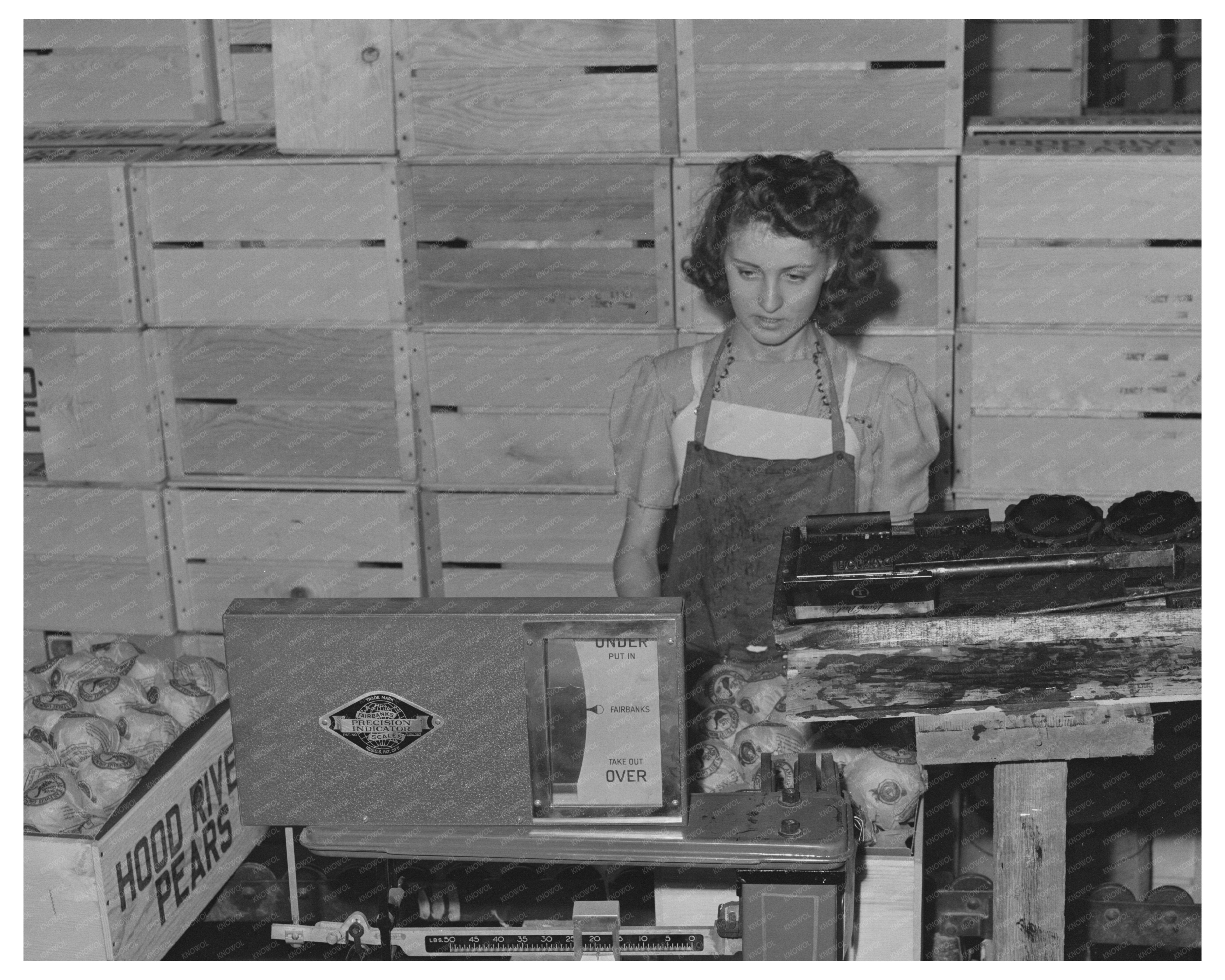1941 Workers Weighing Pears Crates in Hood River Oregon