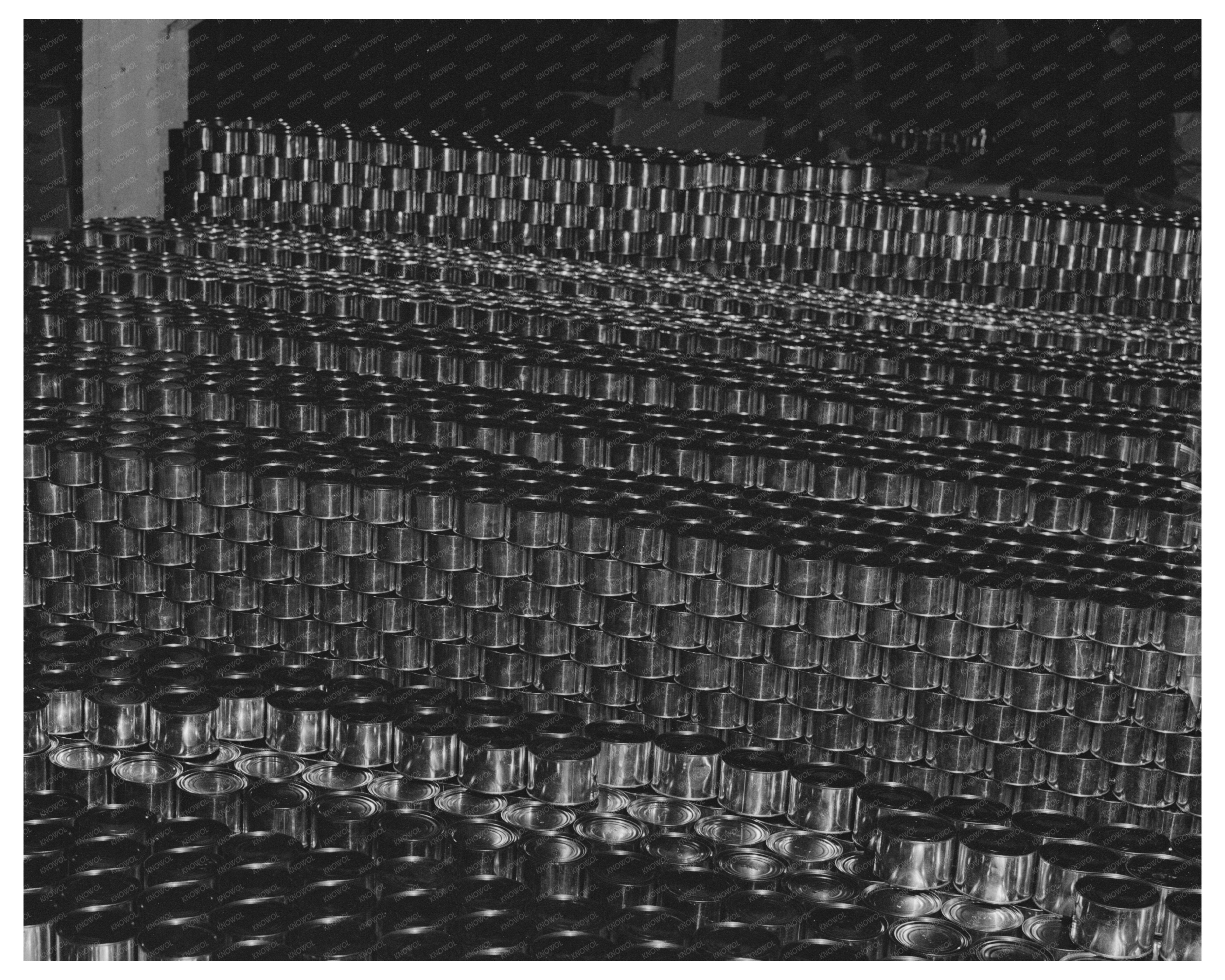 Canned Salmon from Columbia River Packing 1941