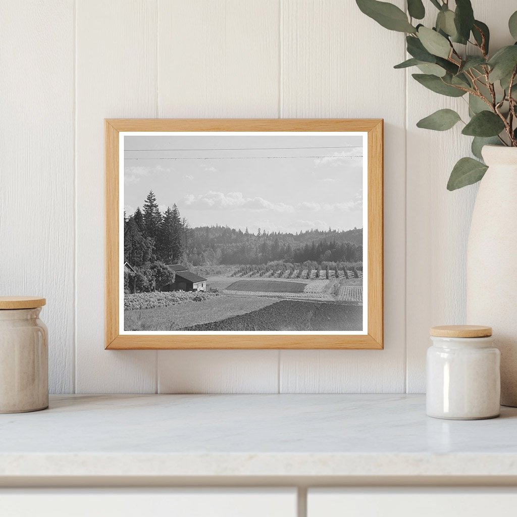 Fall Gardens and Orchards in Clackamas County 1941