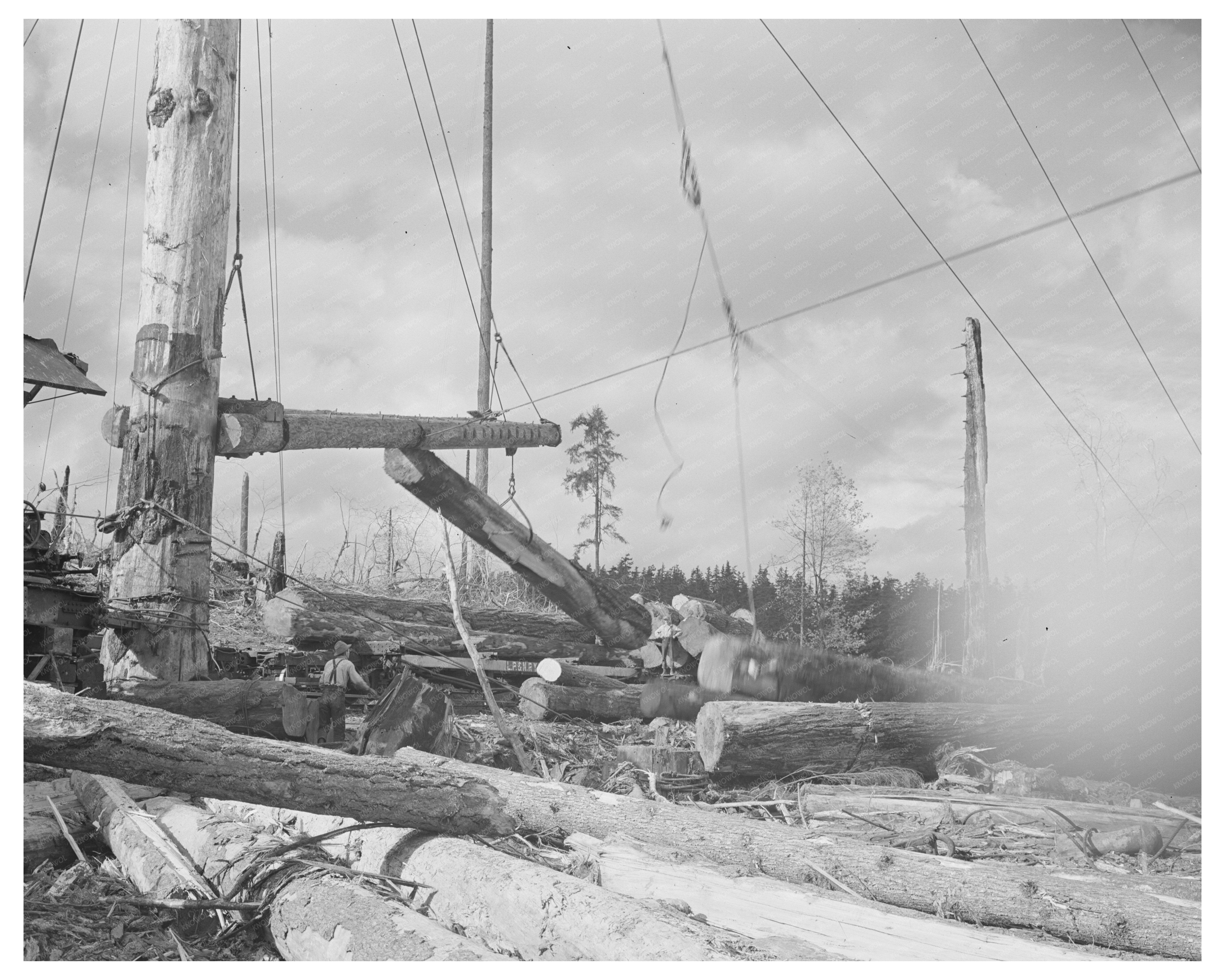 Yarding Logs by Long Bell Lumber Company Cowlitz County 1941