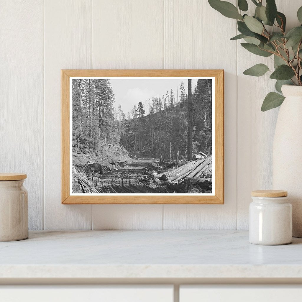 Cowlitz County Logging Road Photo 1941