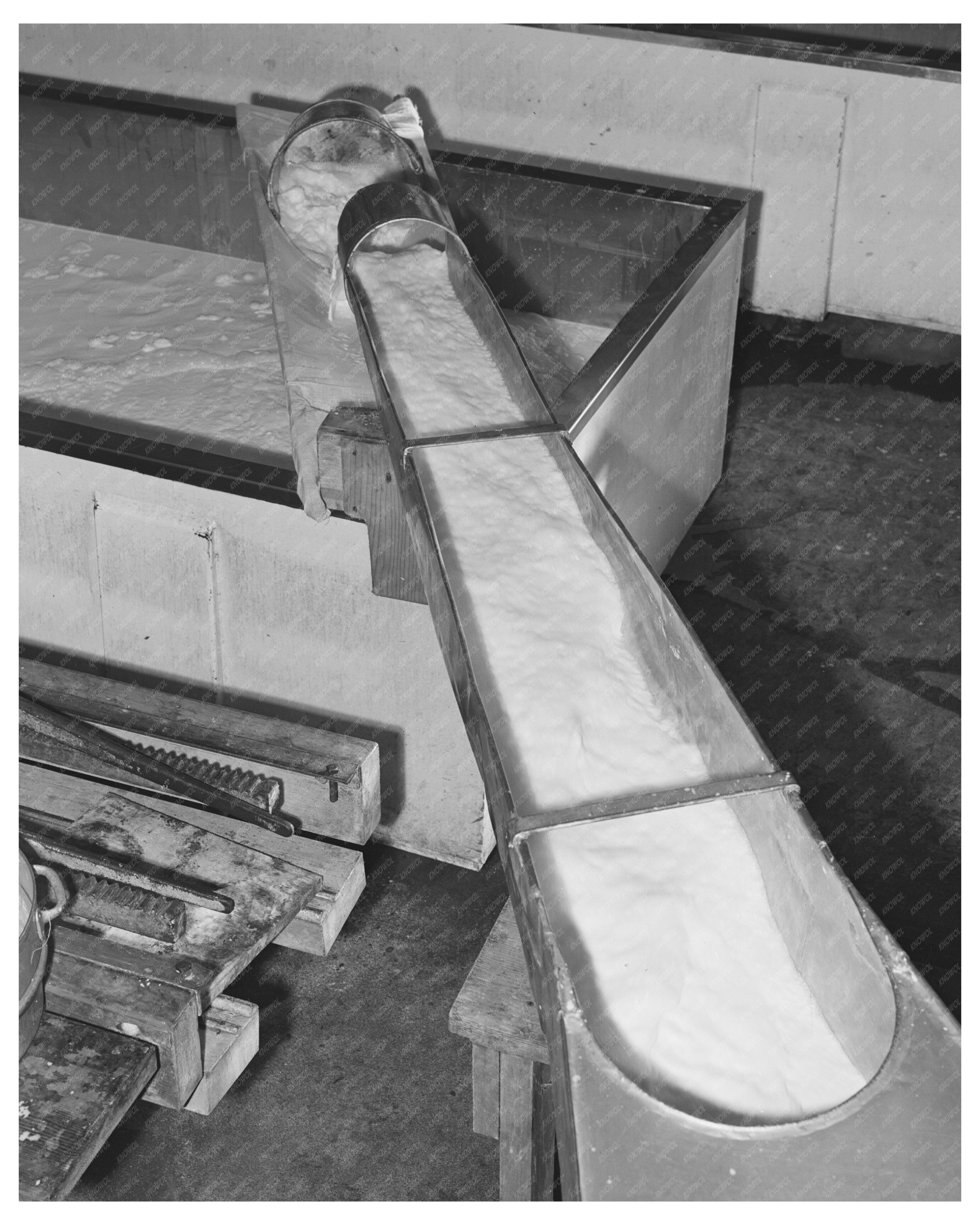 Milk Pouring at Tillamook Cheese Plant Oregon 1941