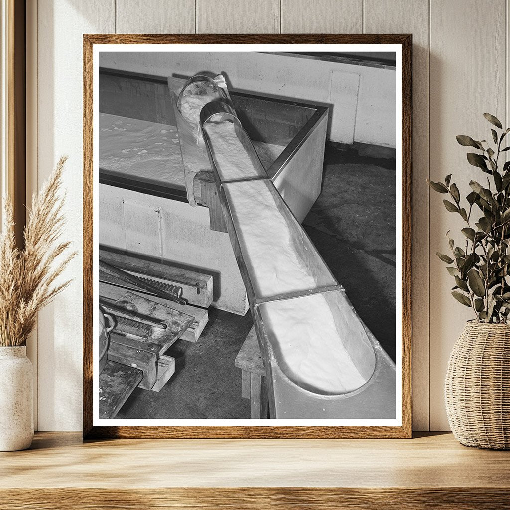 Milk Pouring at Tillamook Cheese Plant Oregon 1941