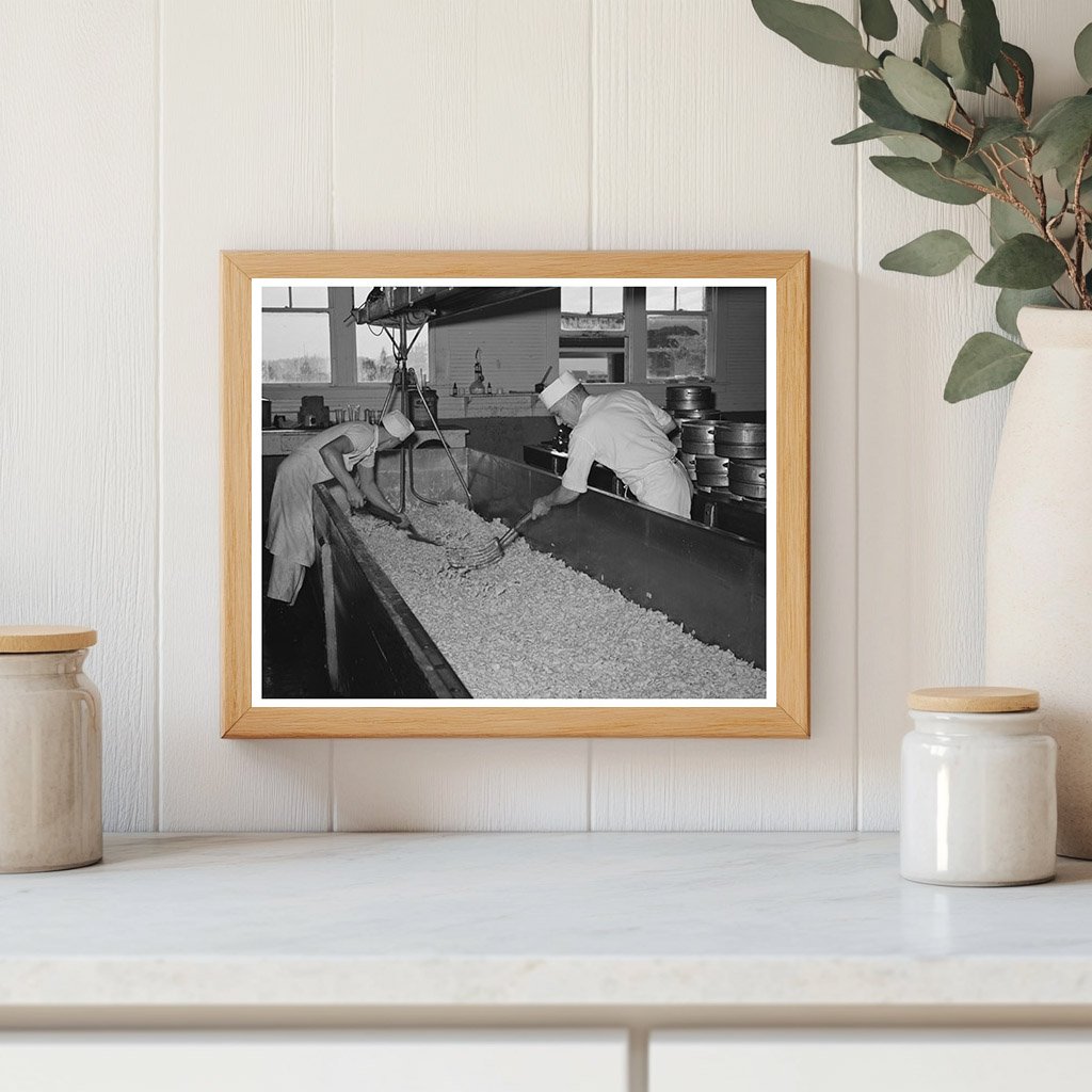 Curd Stirring at Tillamook Cheese Plant October 1941