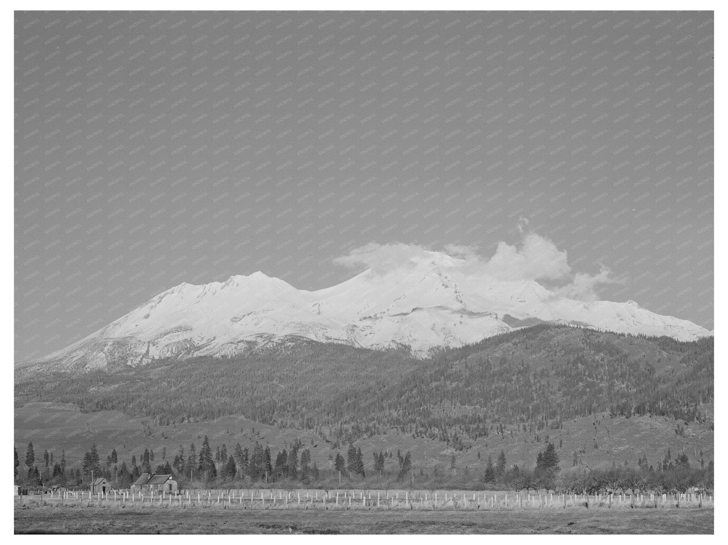 Mount Shasta Vintage Photo December 1941