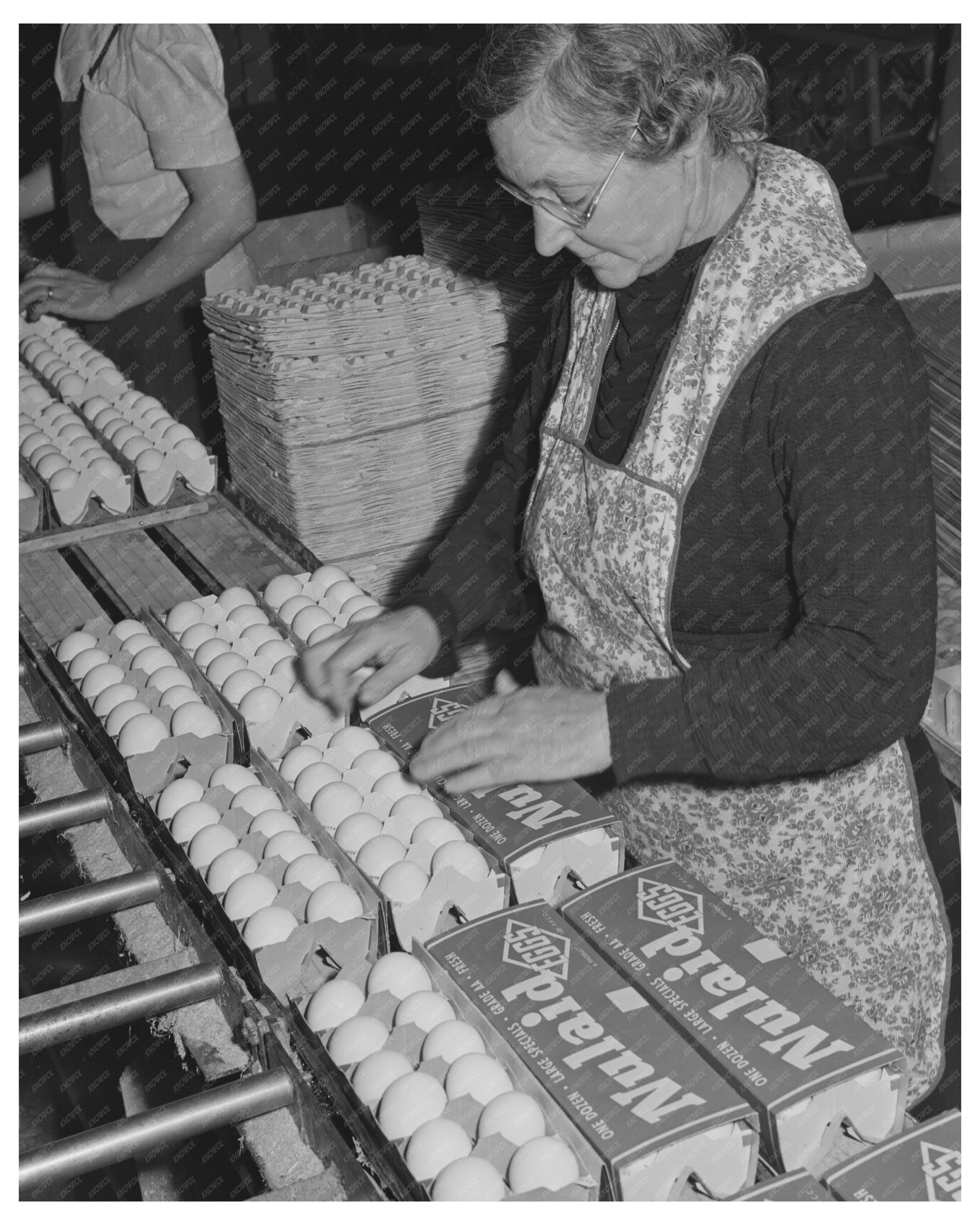 1942 Petaluma California Workers Packing Eggs