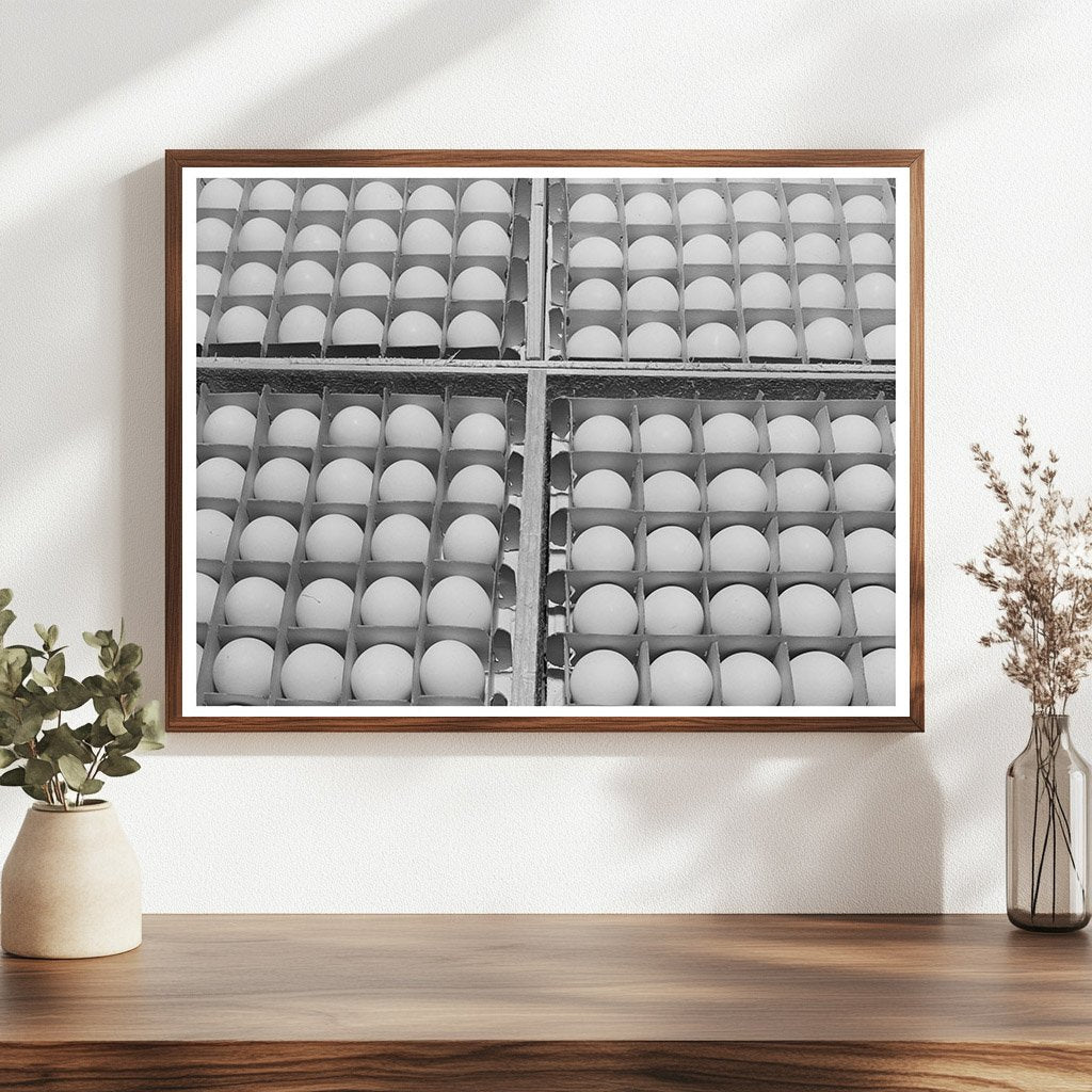 Sonoma County Eggs Vintage Image January 1942