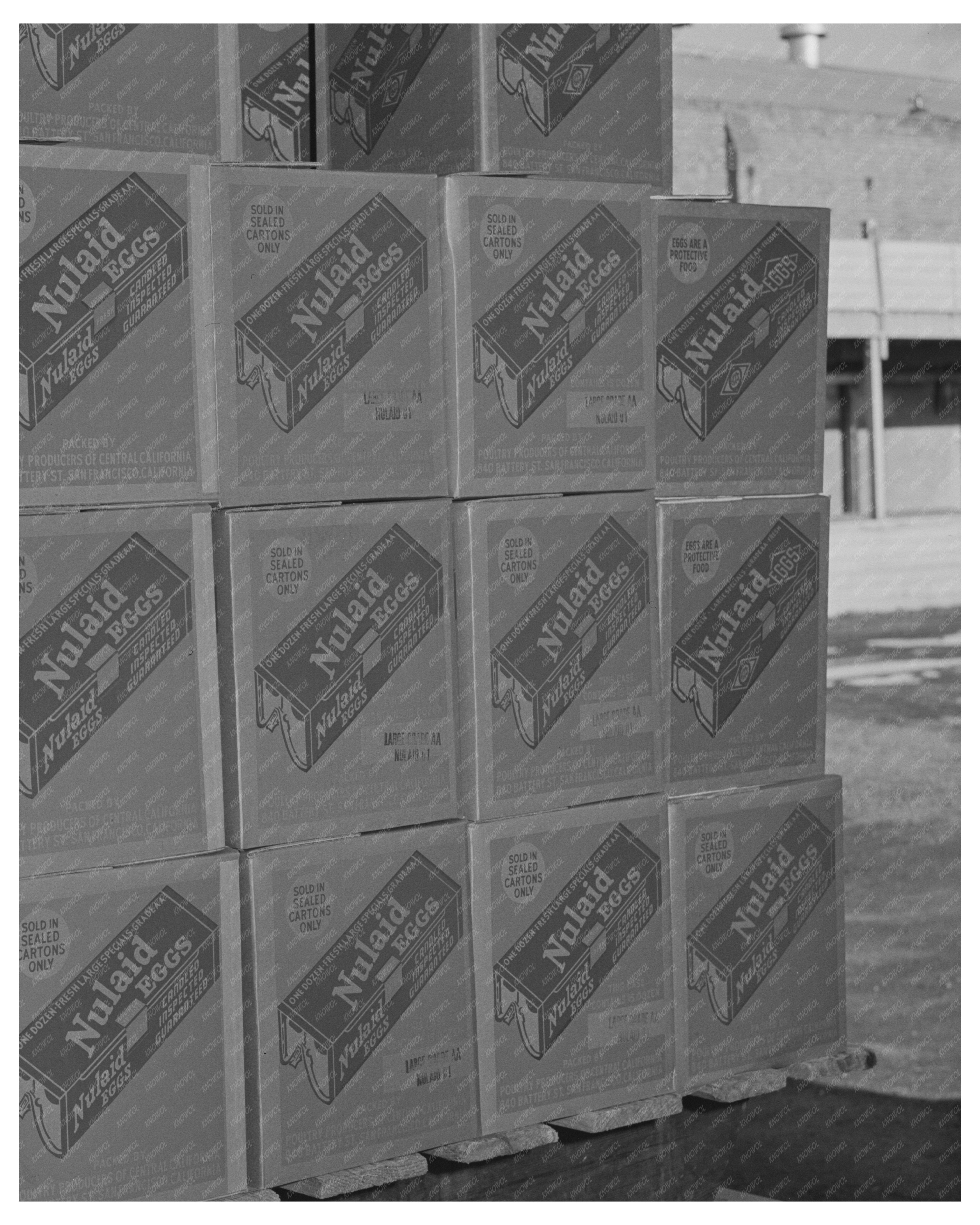 1942 Vintage Egg Packing Plant in Petaluma California