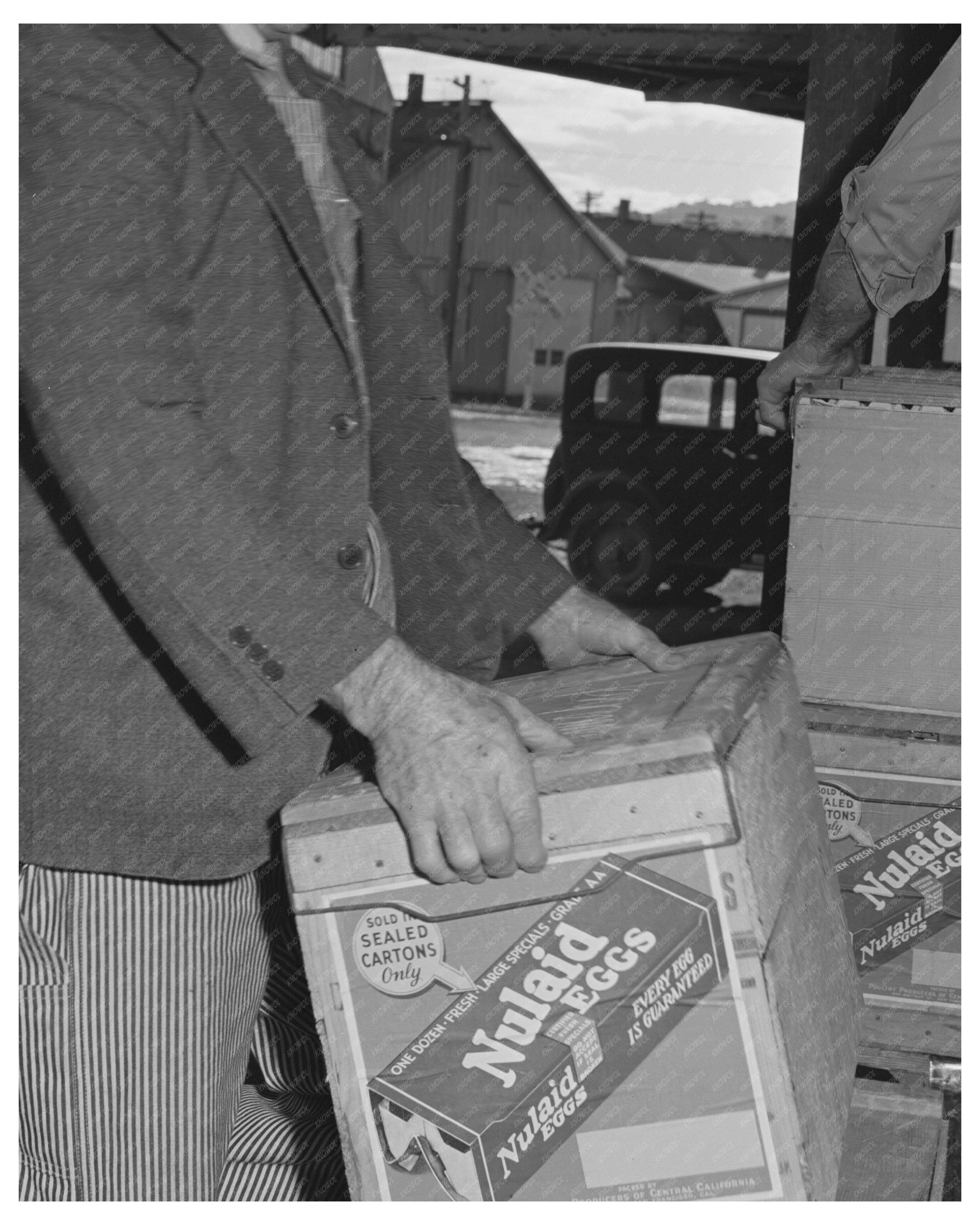 1942 Vintage Workers Loading Eggs in Petaluma California