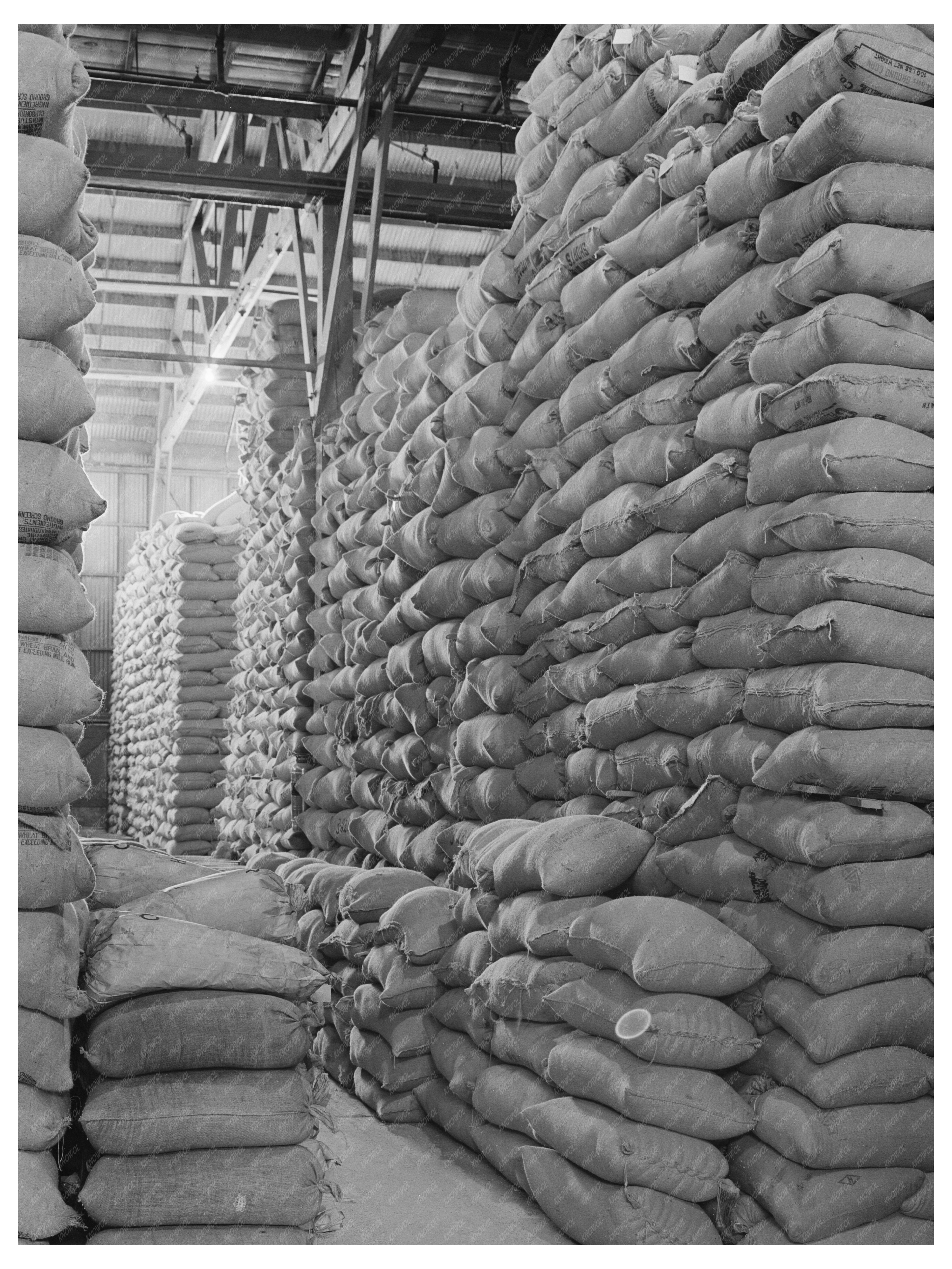 Petaluma Feed Warehouse Sonoma County January 1942