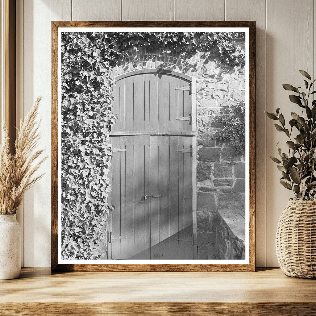 Sonoma County Winery Entrance January 1942 Vintage Photo