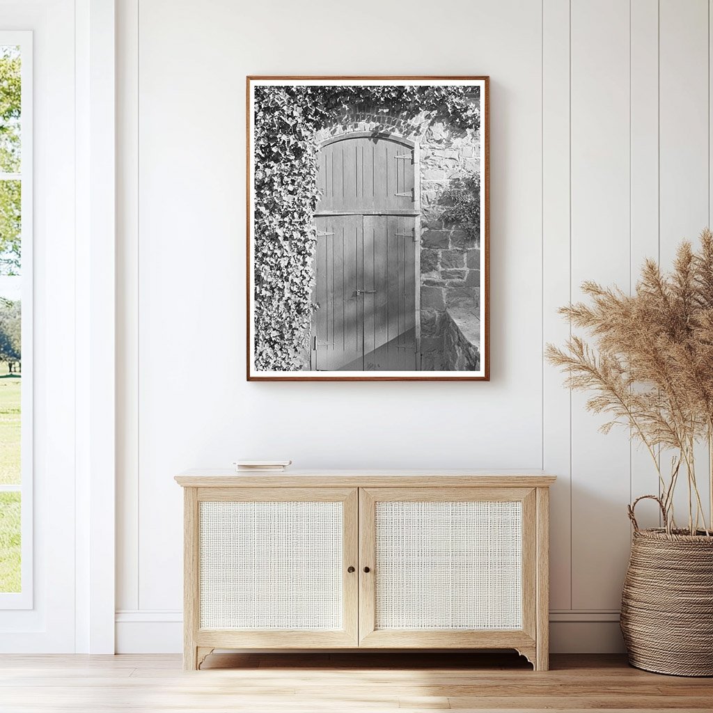 Sonoma County Winery Entrance January 1942 Vintage Photo