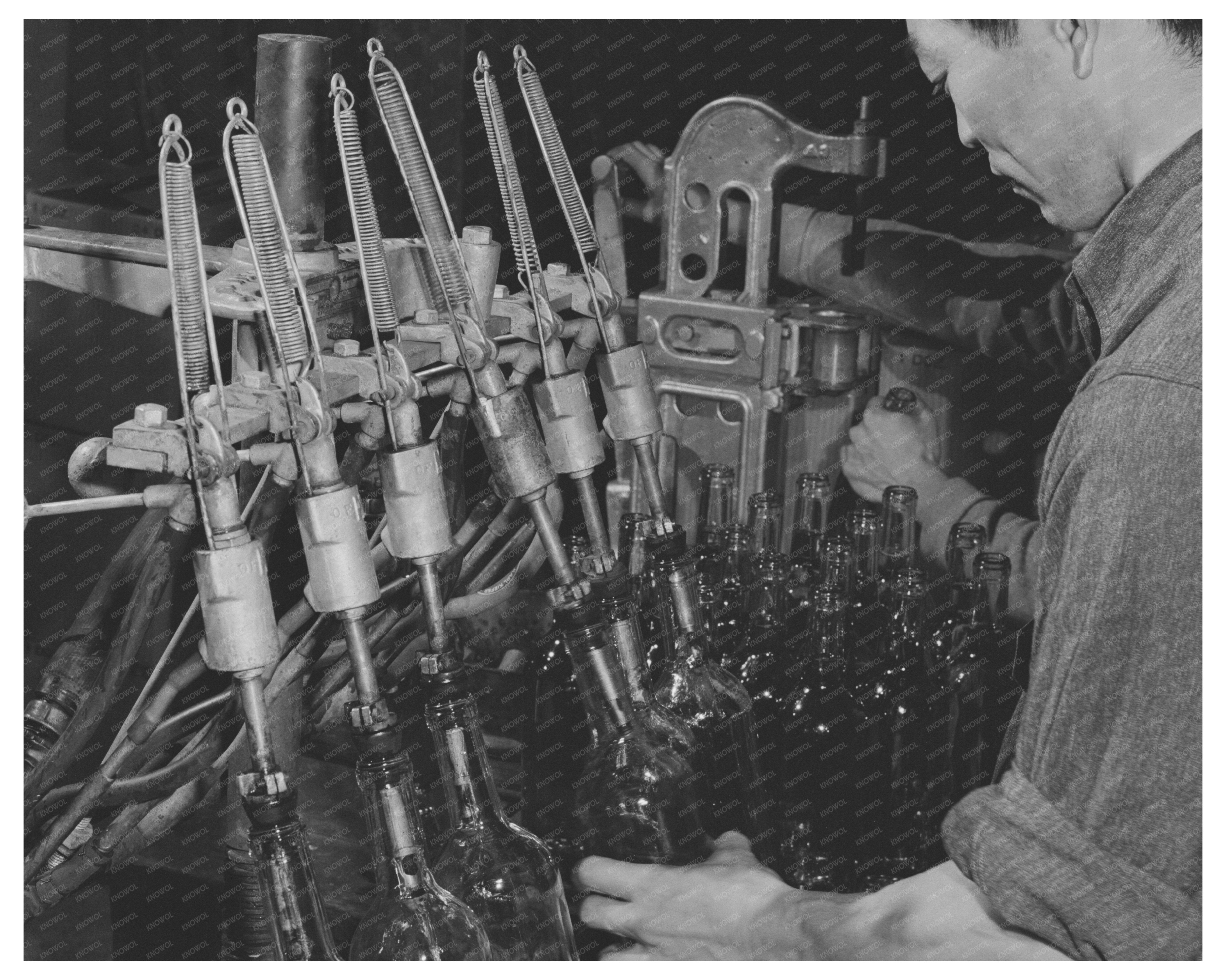 1942 Vintage Winery Workers Filling Wine Bottles in Sonoma