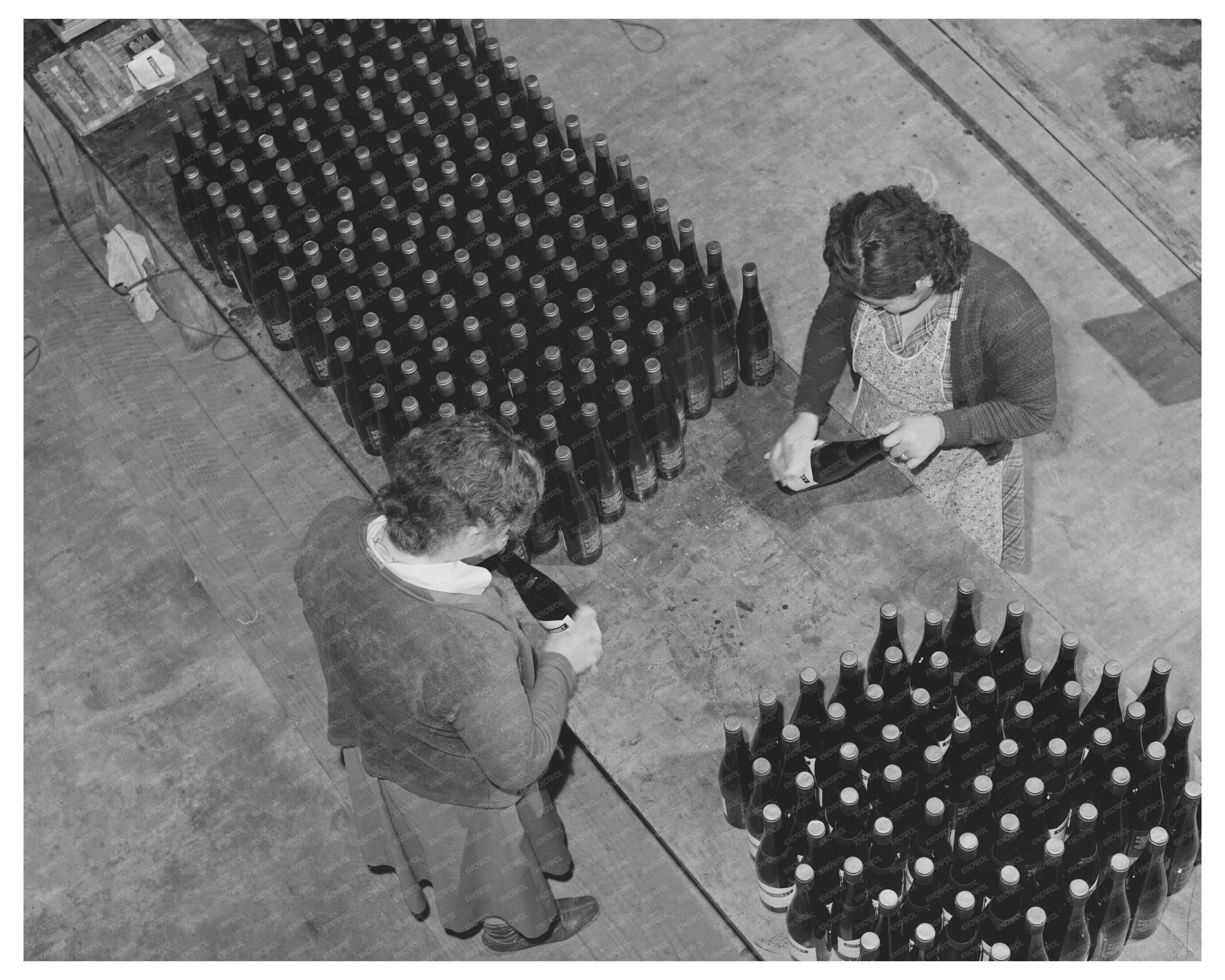 Wine Labeling Process in Sonoma County 1942