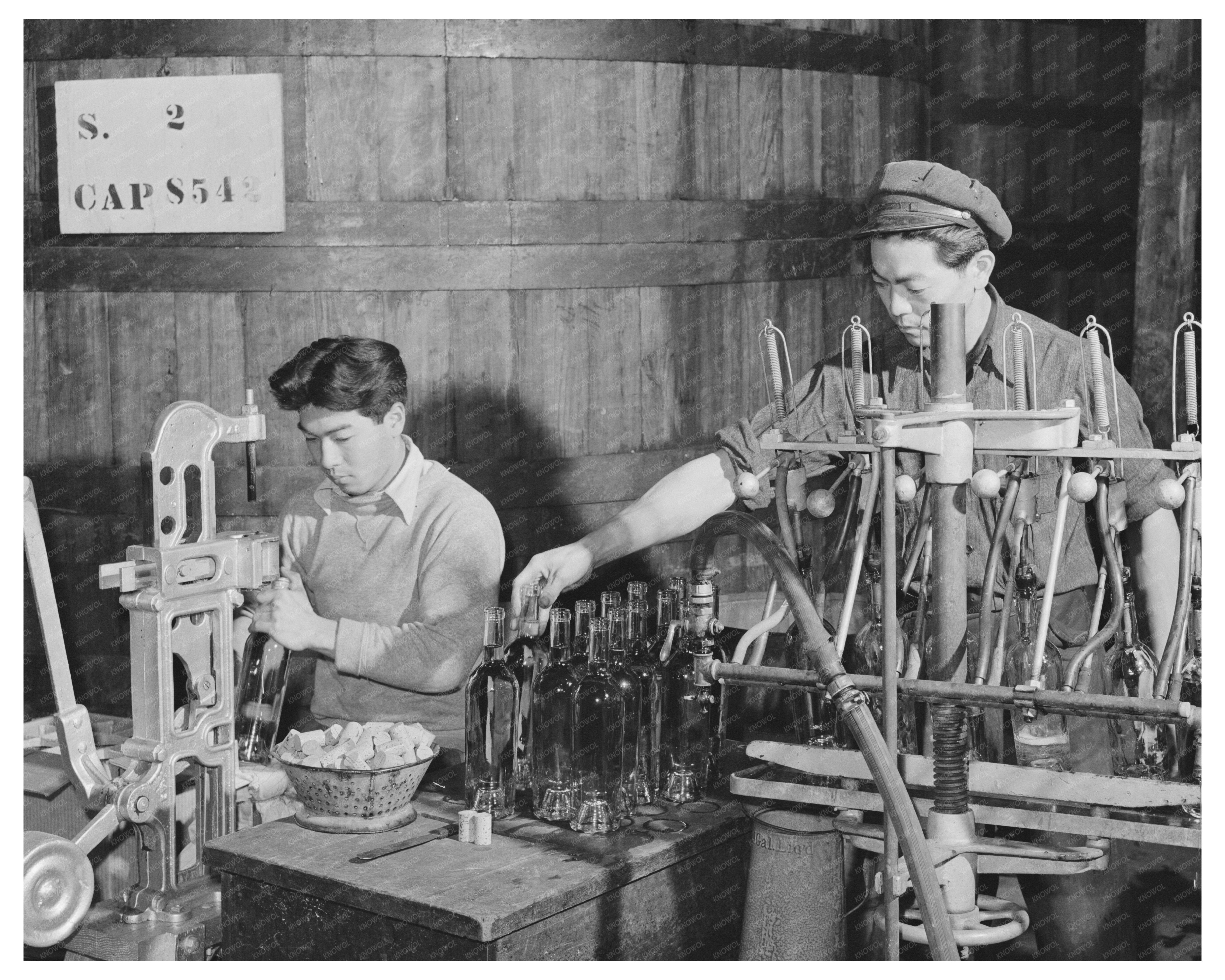 1942 Sonoma County Wine Bottling Process Image