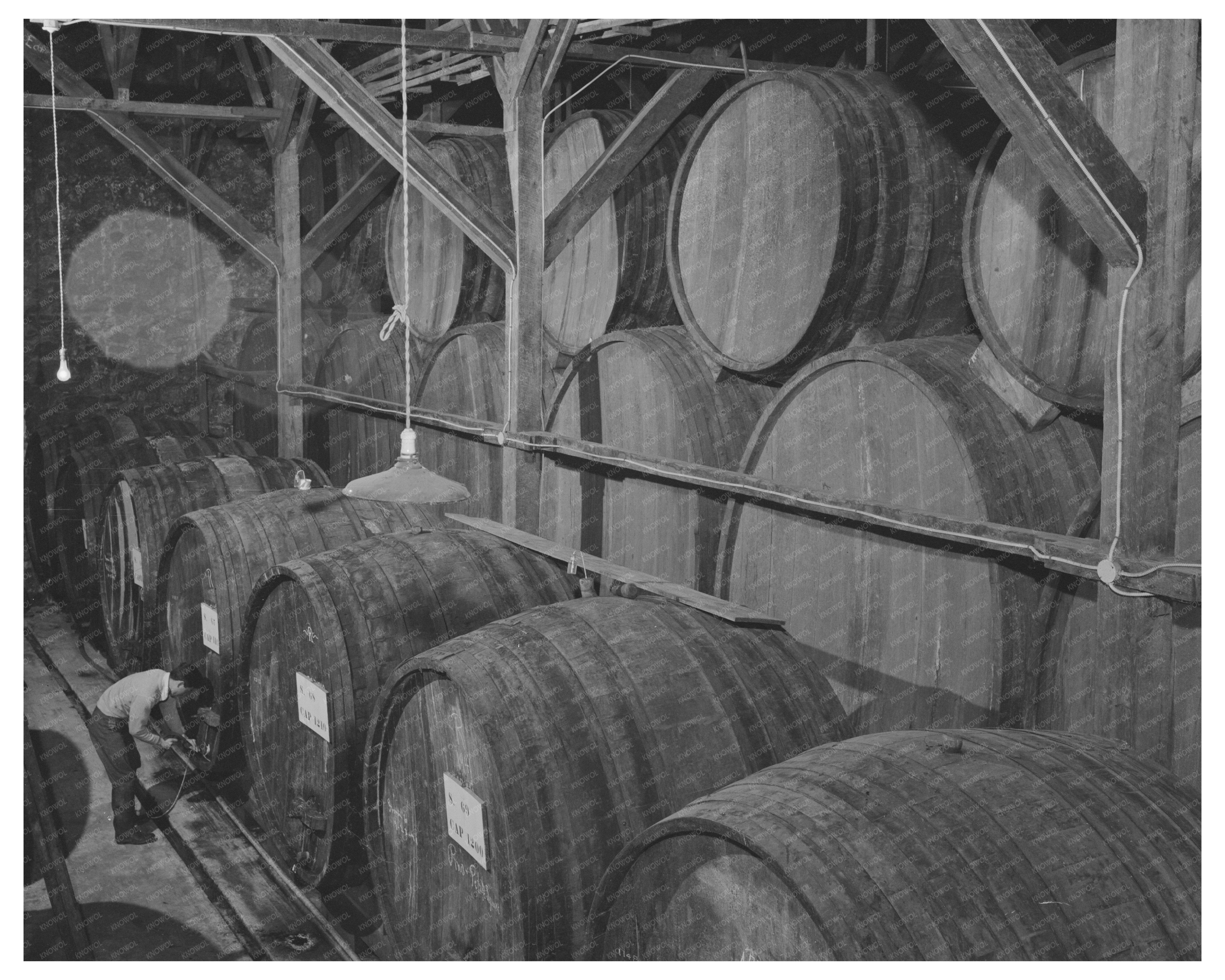 Casks of Aging Wine in Sonoma County 1942