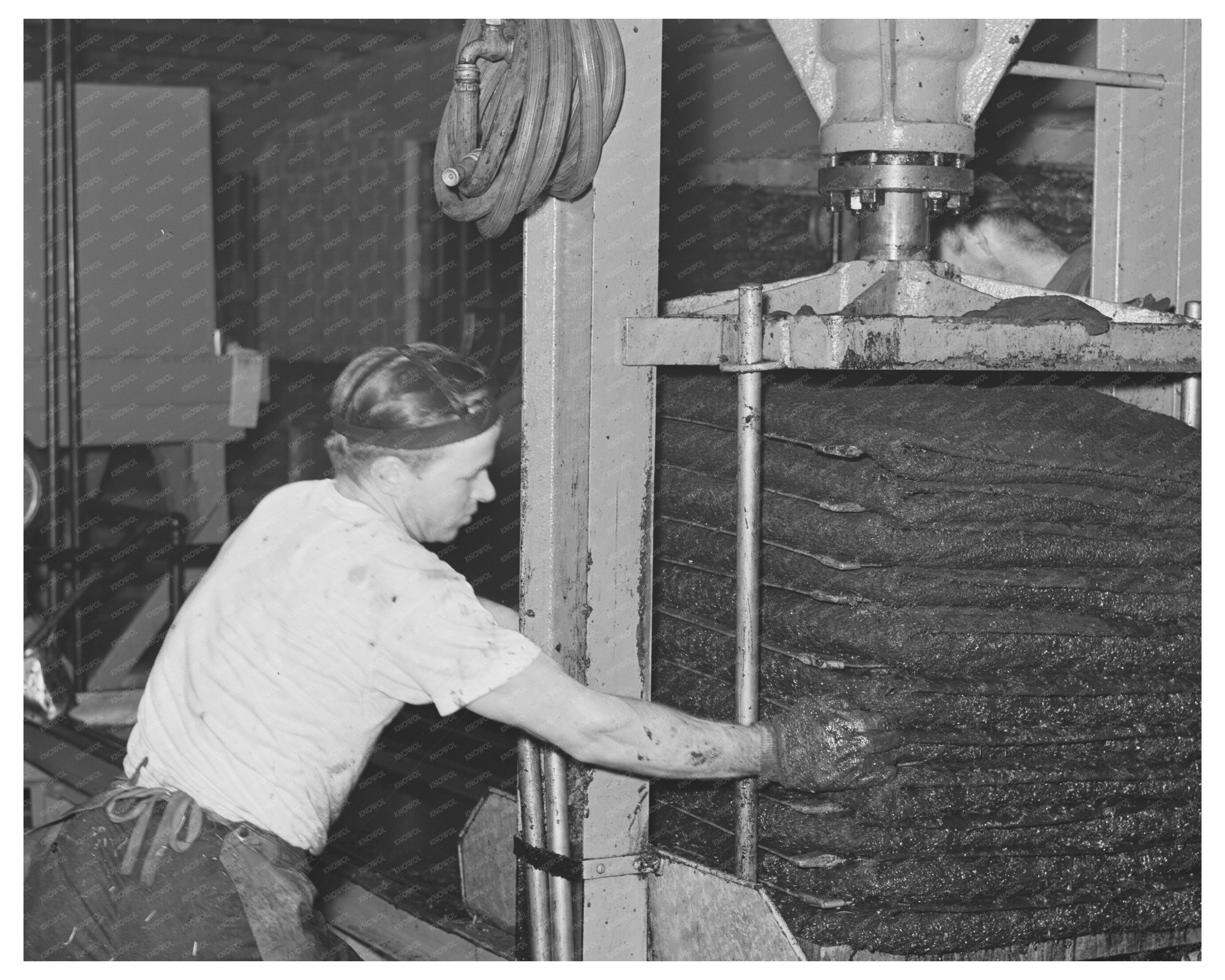 1942 Hydraulic Press for Olive Oil Extraction in California