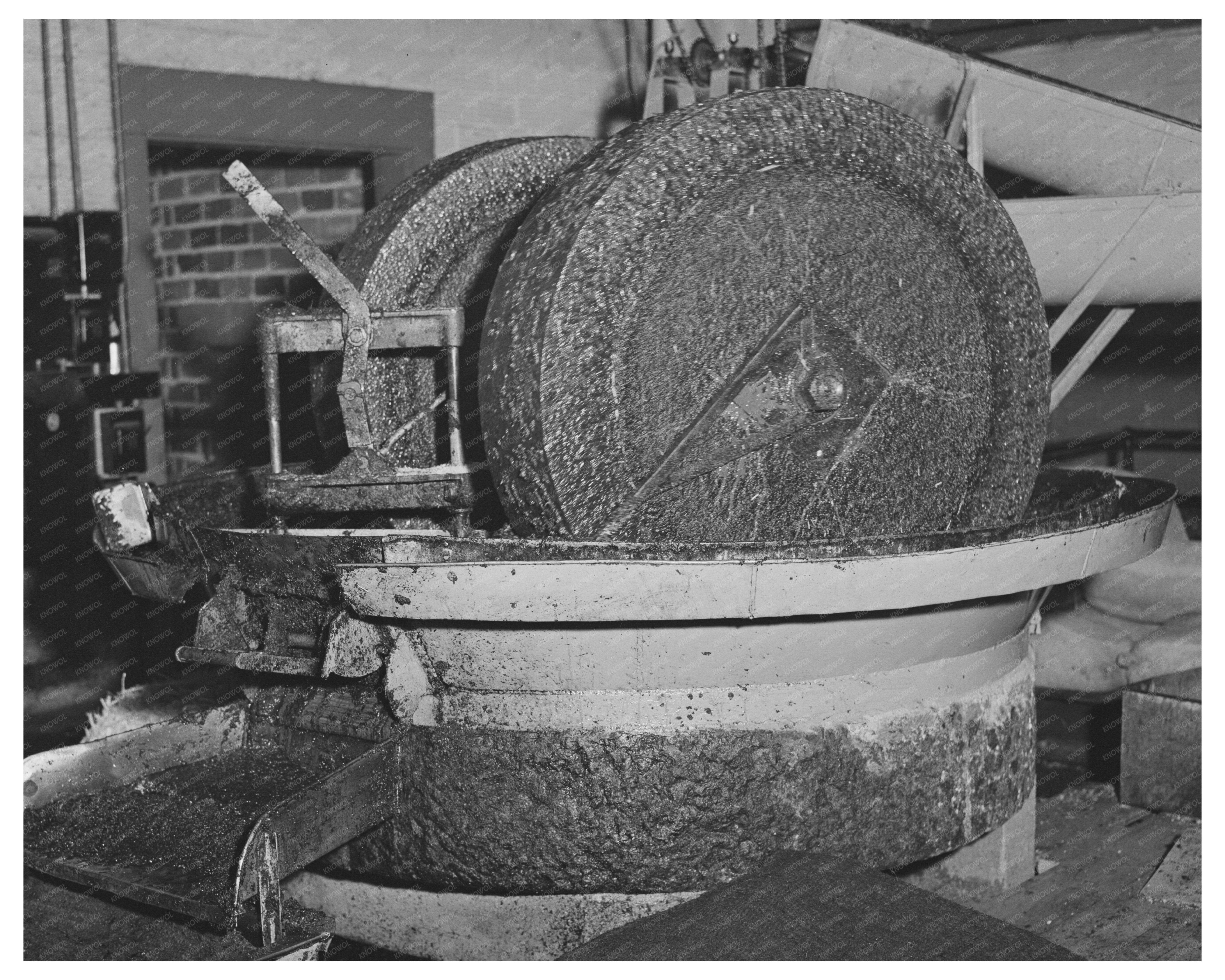 Olive Oil Production in Lindsay California 1942