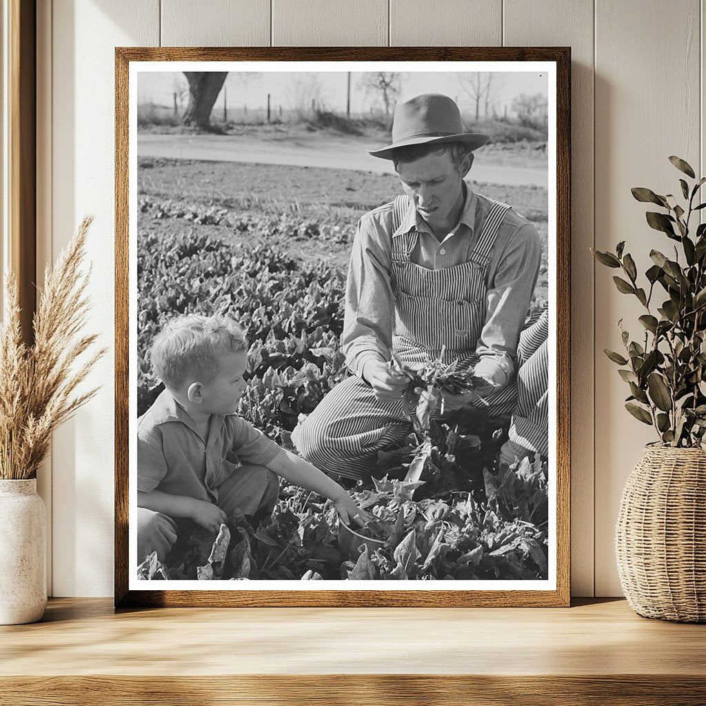 Farm Workers and Son in Woodville California 1942