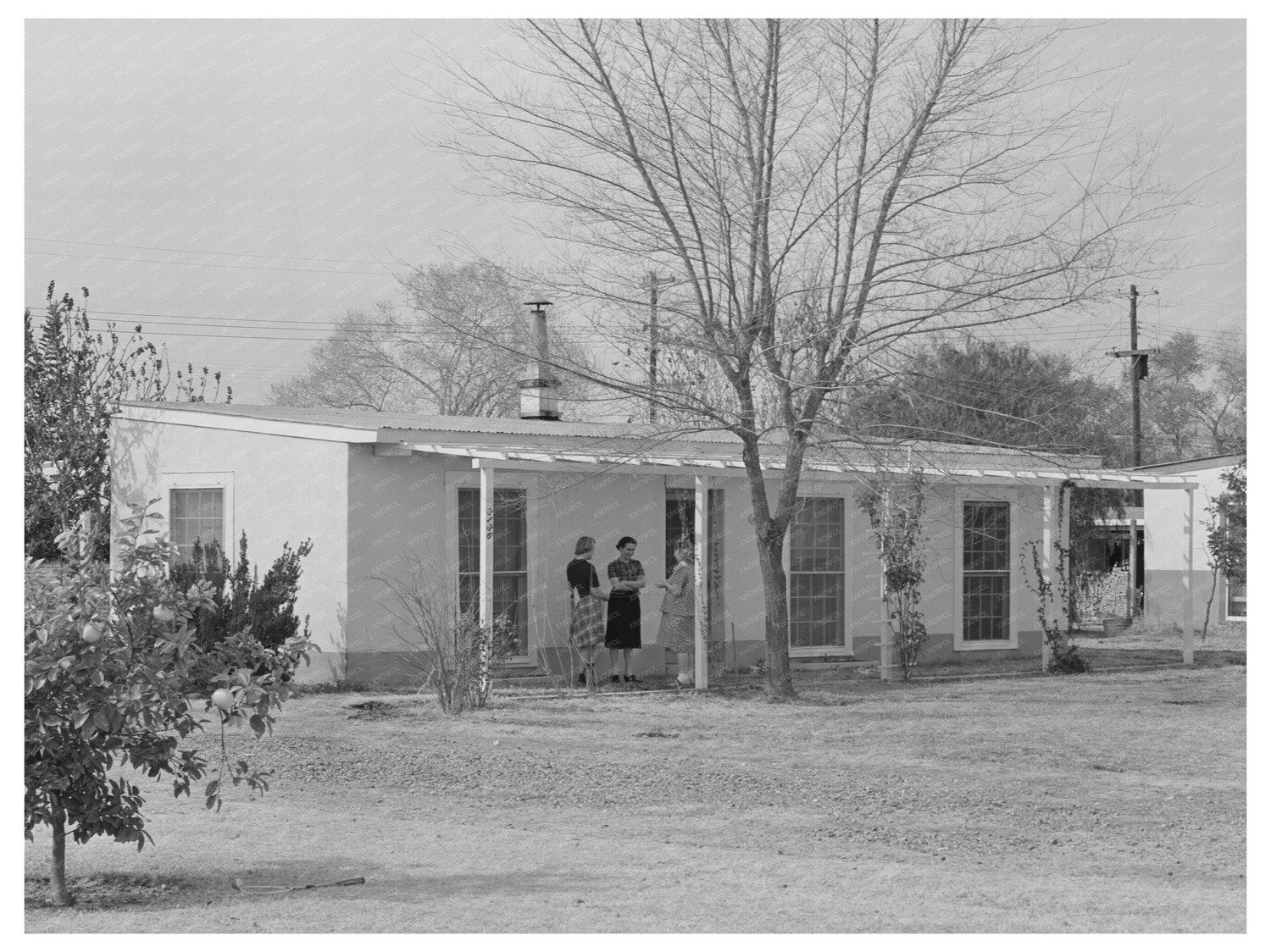 Neighbors Gather in Camelback Farms Phoenix 1942
