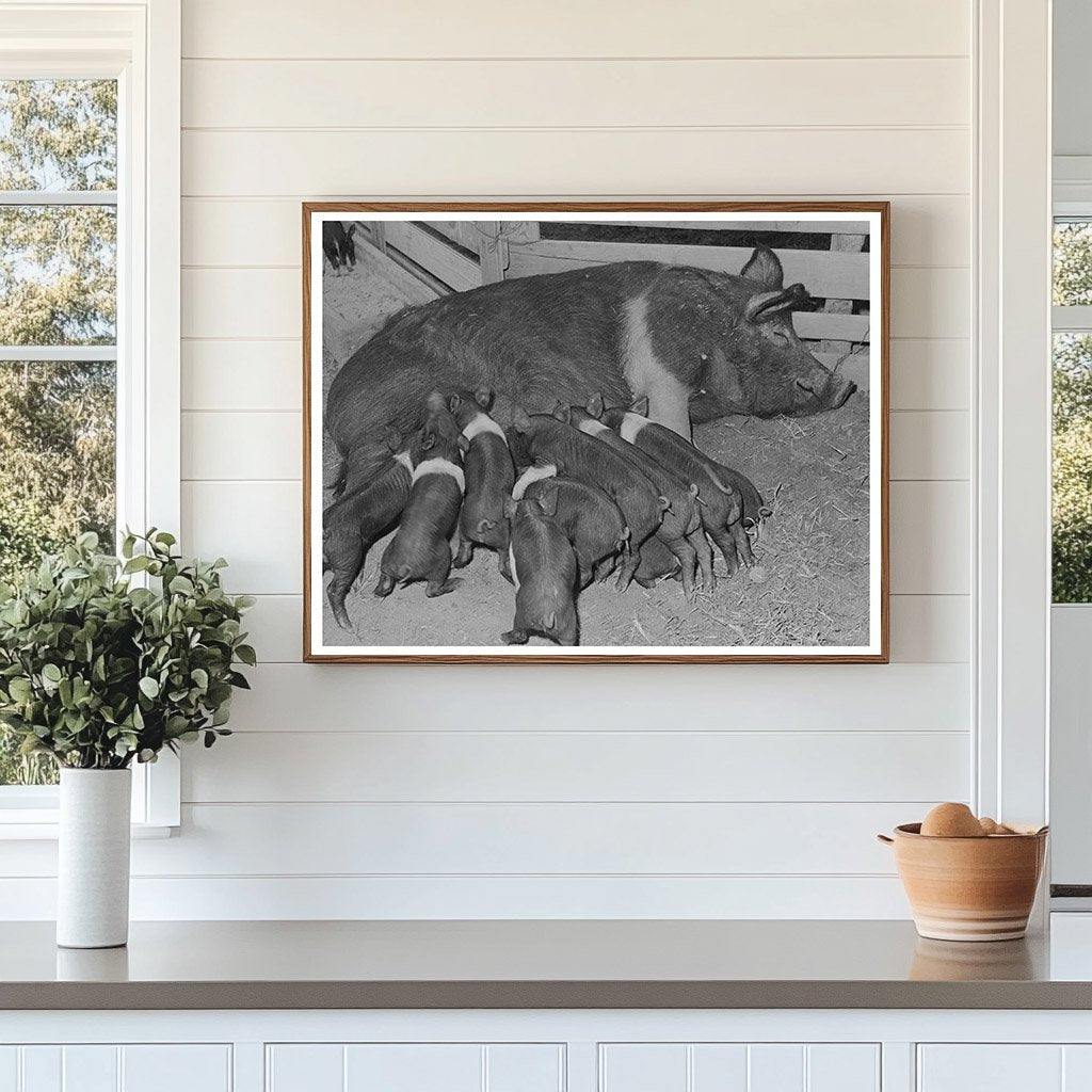 Casa Grande Farms Agriculture February 1942 Arizona Image