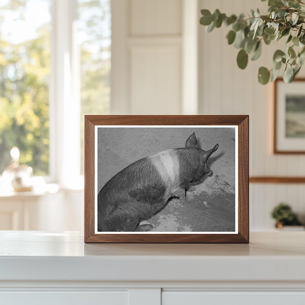 Coolidge Arizona Farm Security Administration Project 1942