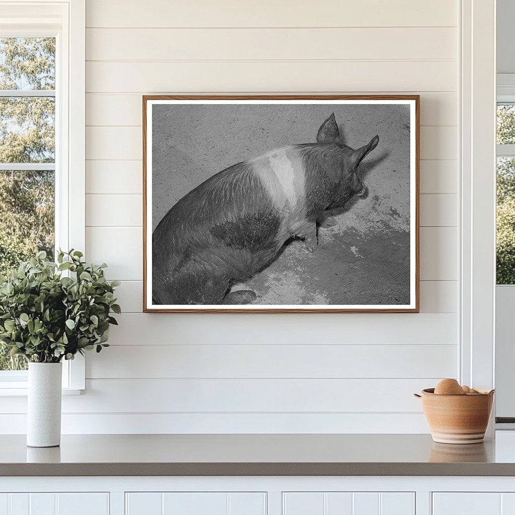 Coolidge Arizona Farm Security Administration Project 1942