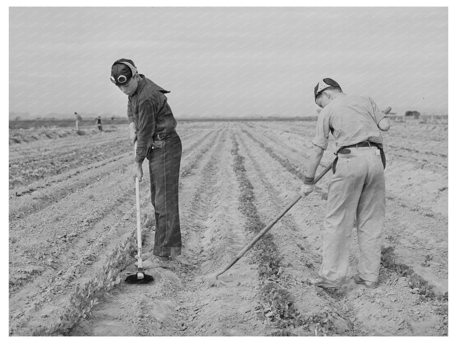 Boys in Gardening Vocational Training Class 1942