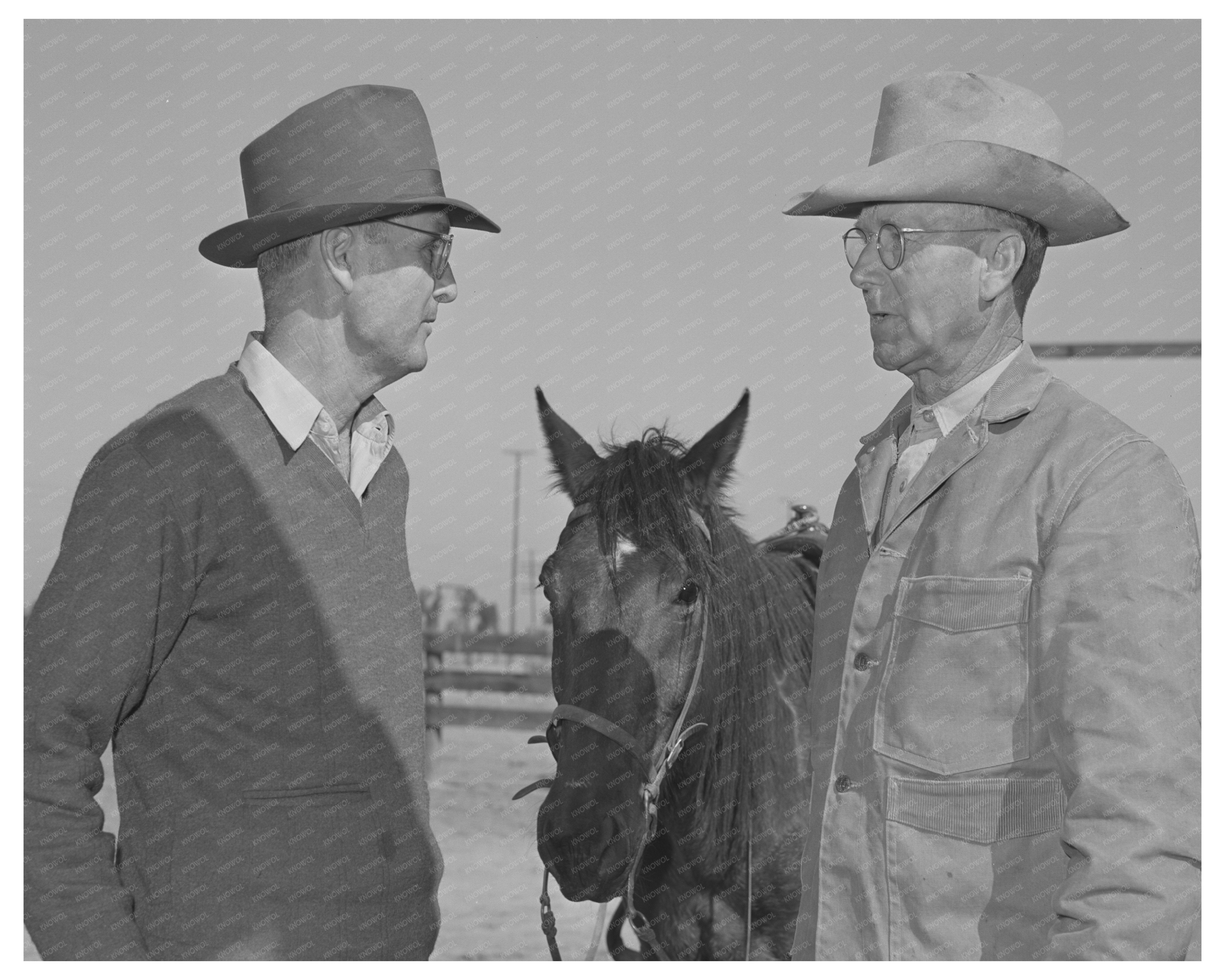 Cattlemen and Beef Feeding Operations Imperial County 1942