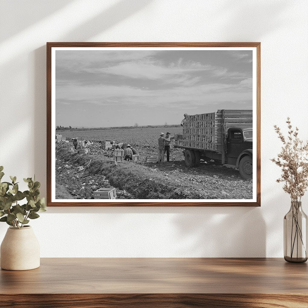 Lettuce Packing Crates Truck Yuma County Arizona 1942