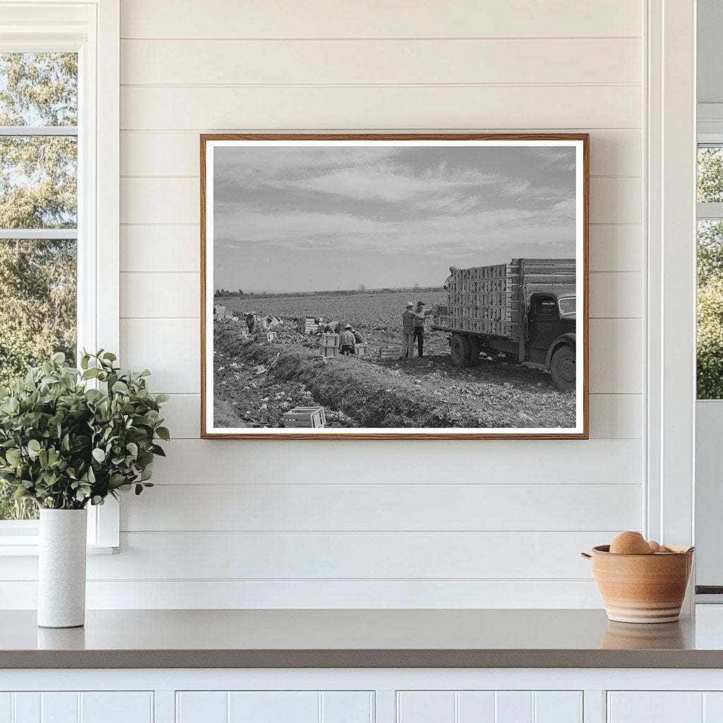 Lettuce Packing Crates Truck Yuma County Arizona 1942