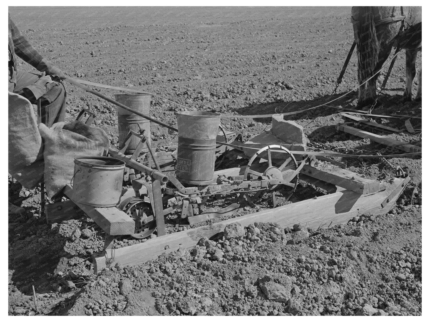 Vintage Planter in Yuma County Arizona March 1942