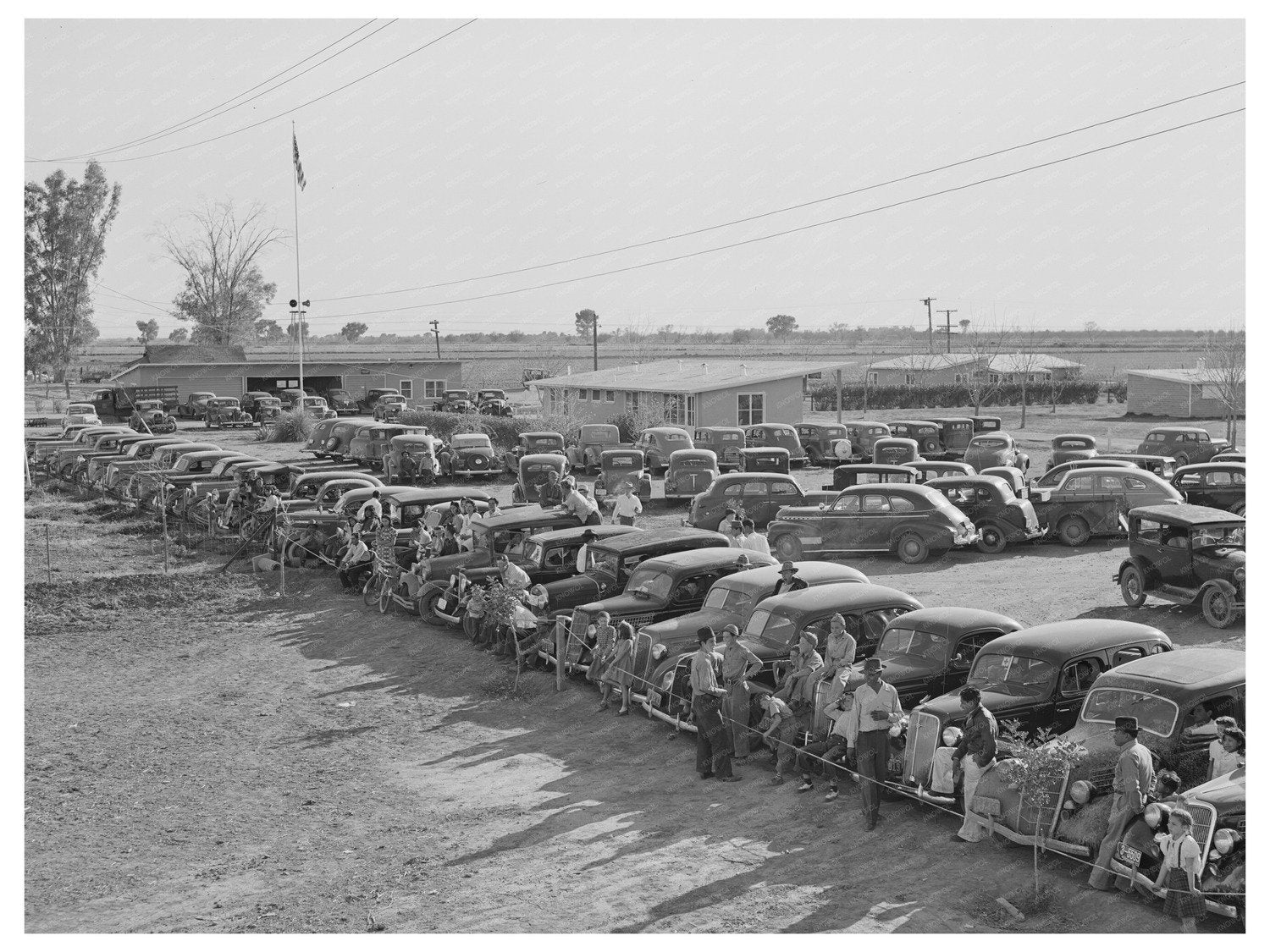 Farm Workers Autos Yuma Arizona Field Day March 1942