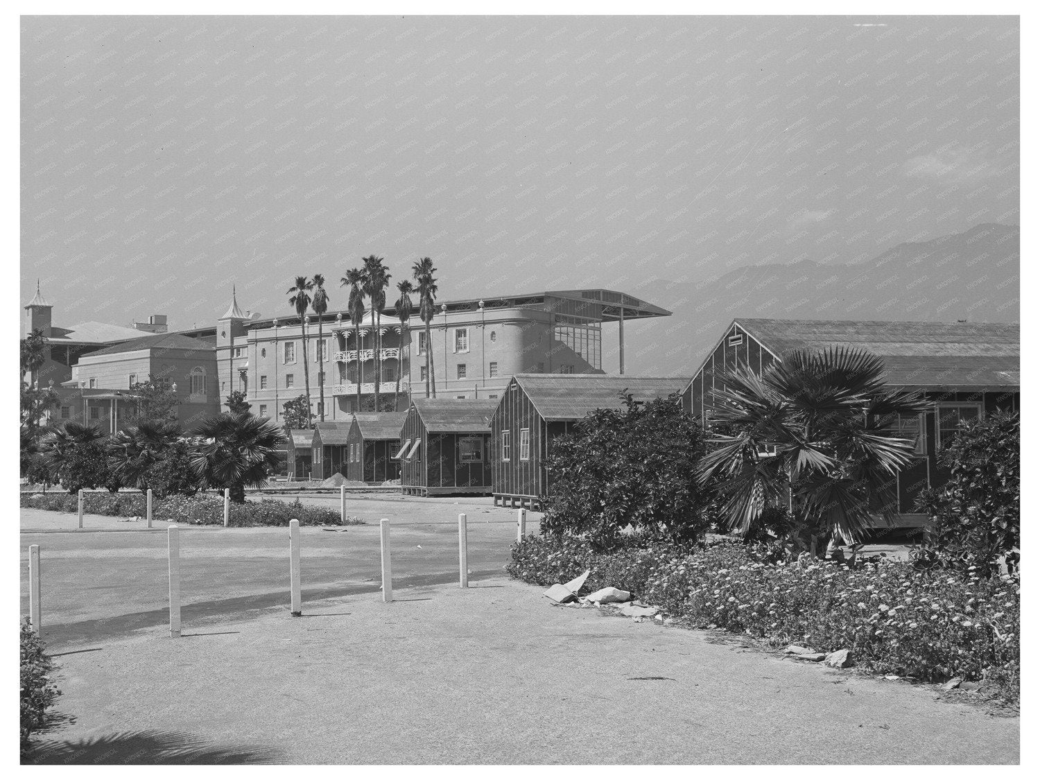 1942 Vintage Photo of Japanese Evacuation at Santa Anita Center