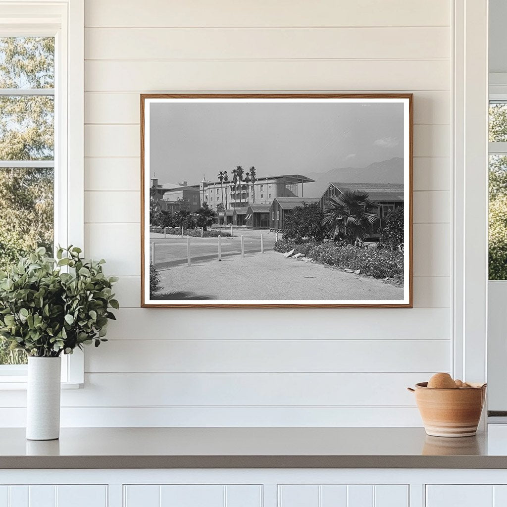 1942 Vintage Photo of Japanese Evacuation at Santa Anita Center