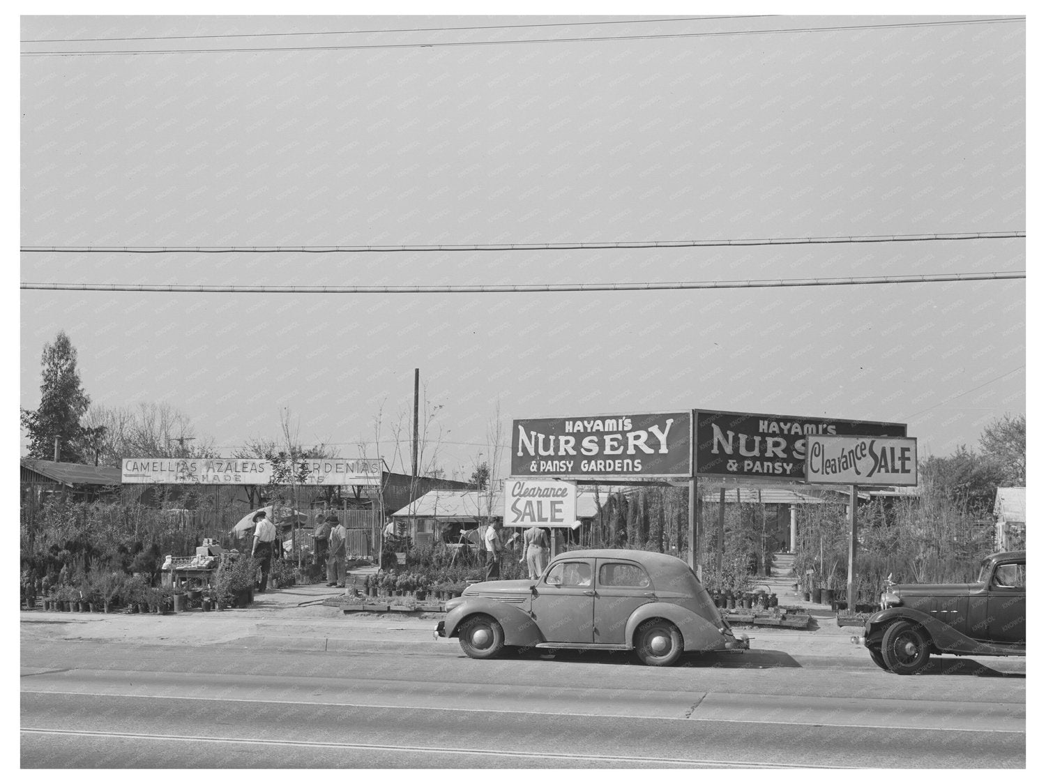 Japanese Nurserymen Selling Stock April 1942