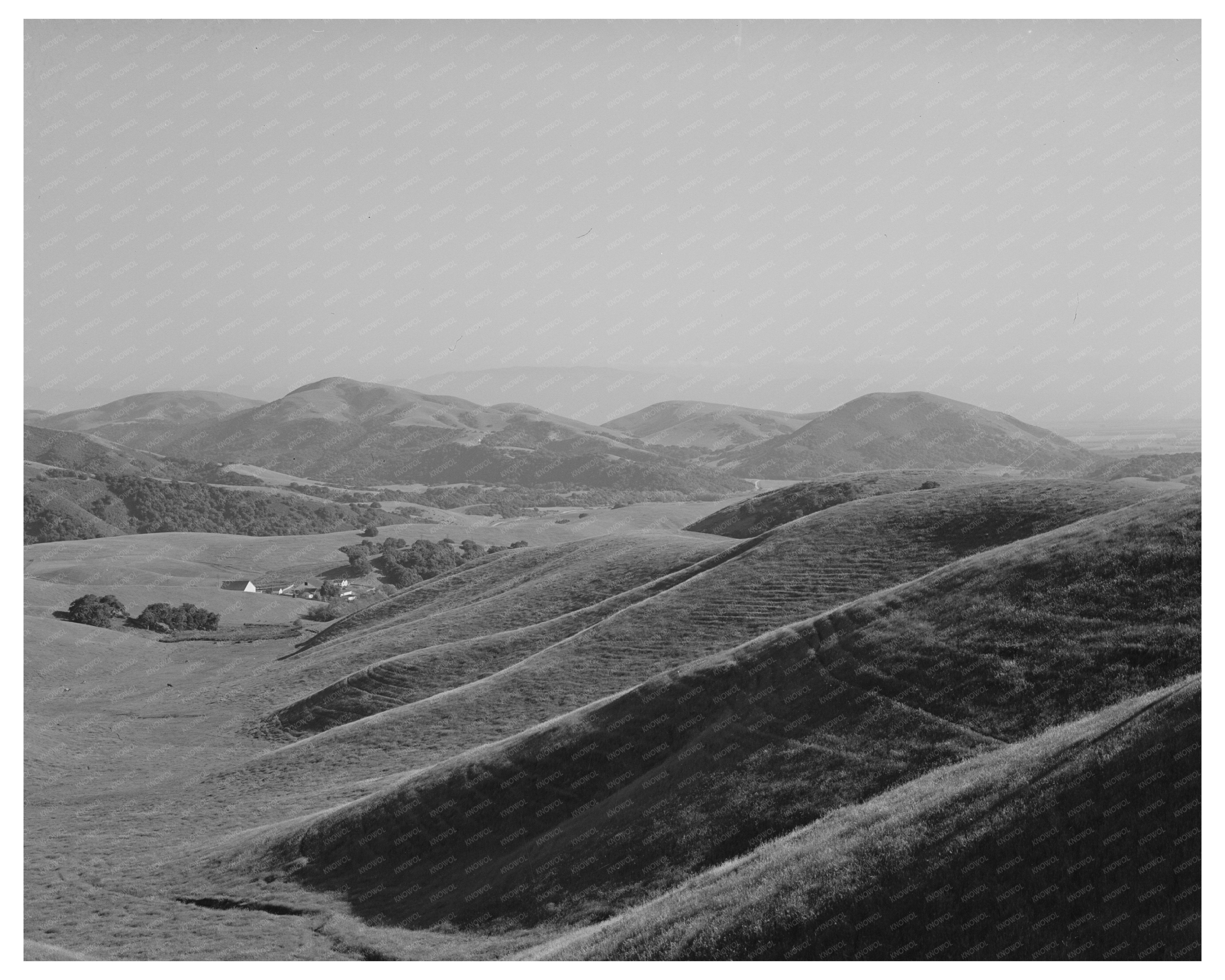 San Benito County Grazing Land Image May 1942
