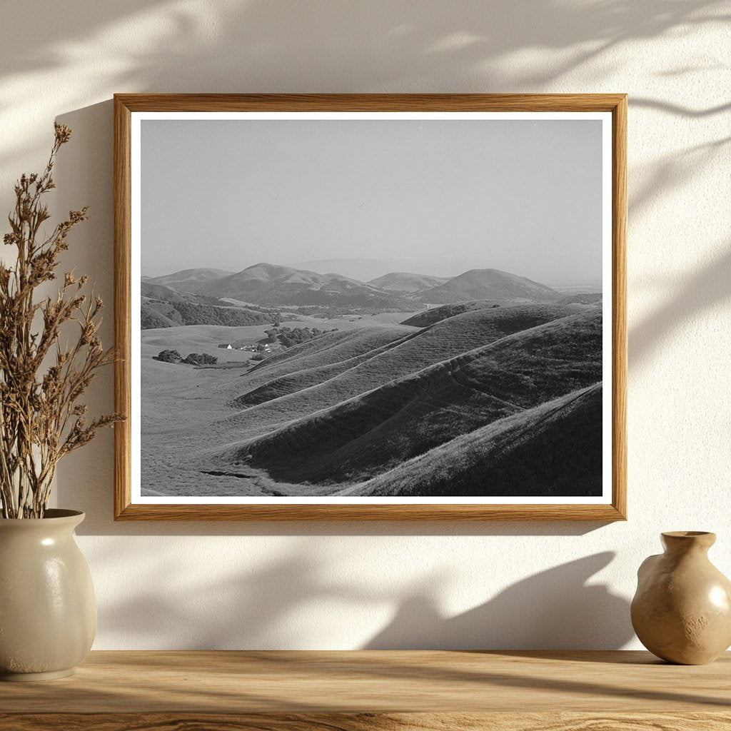 San Benito County Grazing Land Image May 1942