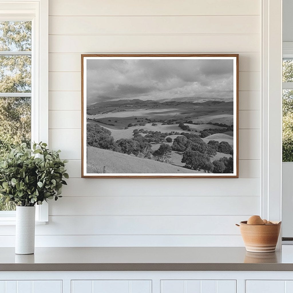 May 1942 San Benito County Cattle and Sheep Grazing Lands