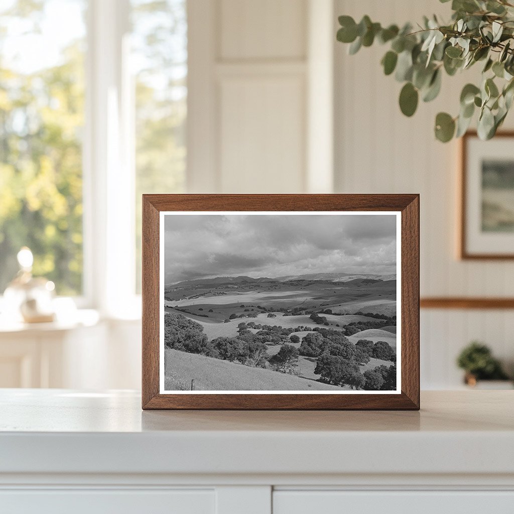 San Benito County Grazing Grounds Image May 1942