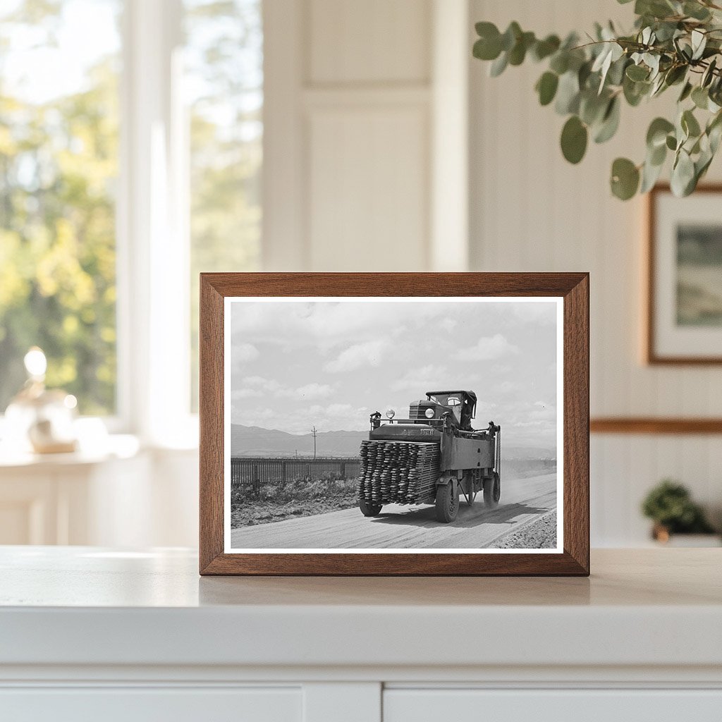 1942 Laborers Transporting Duckboards in Salinas California