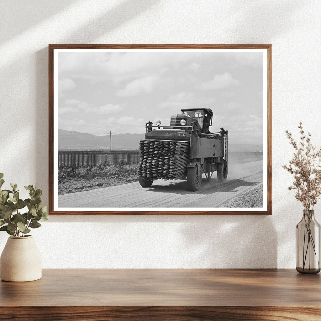 1942 Laborers Transporting Duckboards in Salinas California