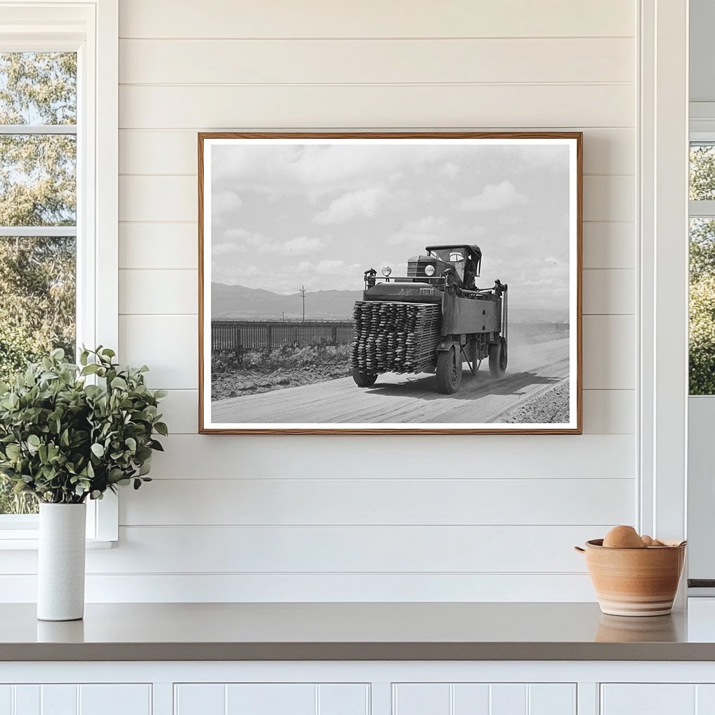1942 Laborers Transporting Duckboards in Salinas California
