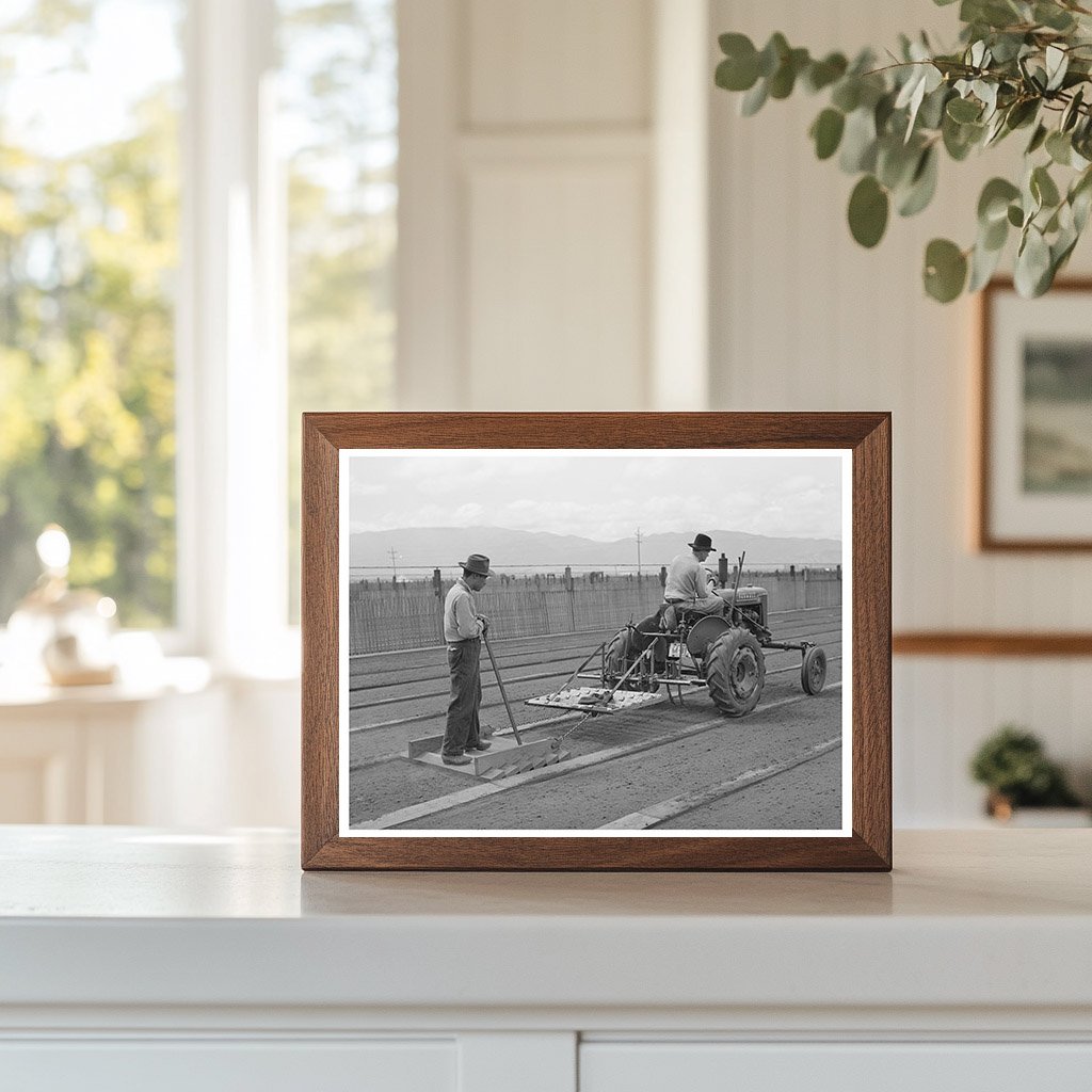 Tractor-Drawn Floater in Guayule Nursery May 1942