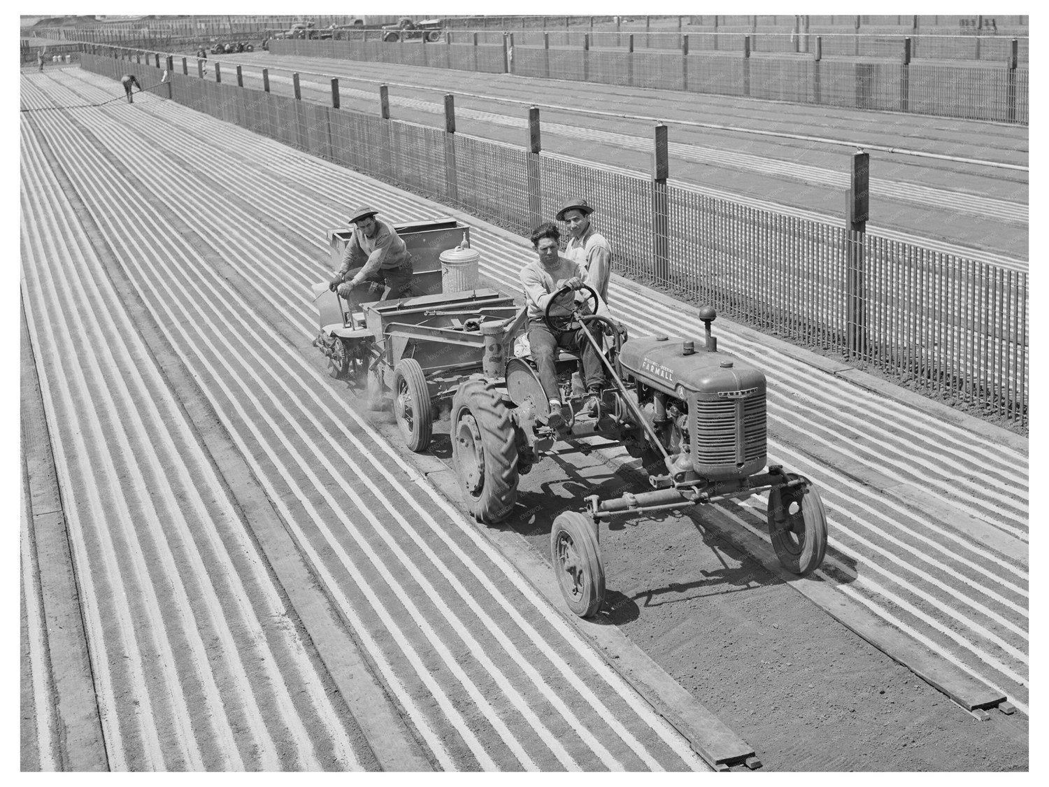 Guayule Seed Planting in Salinas California May 1942