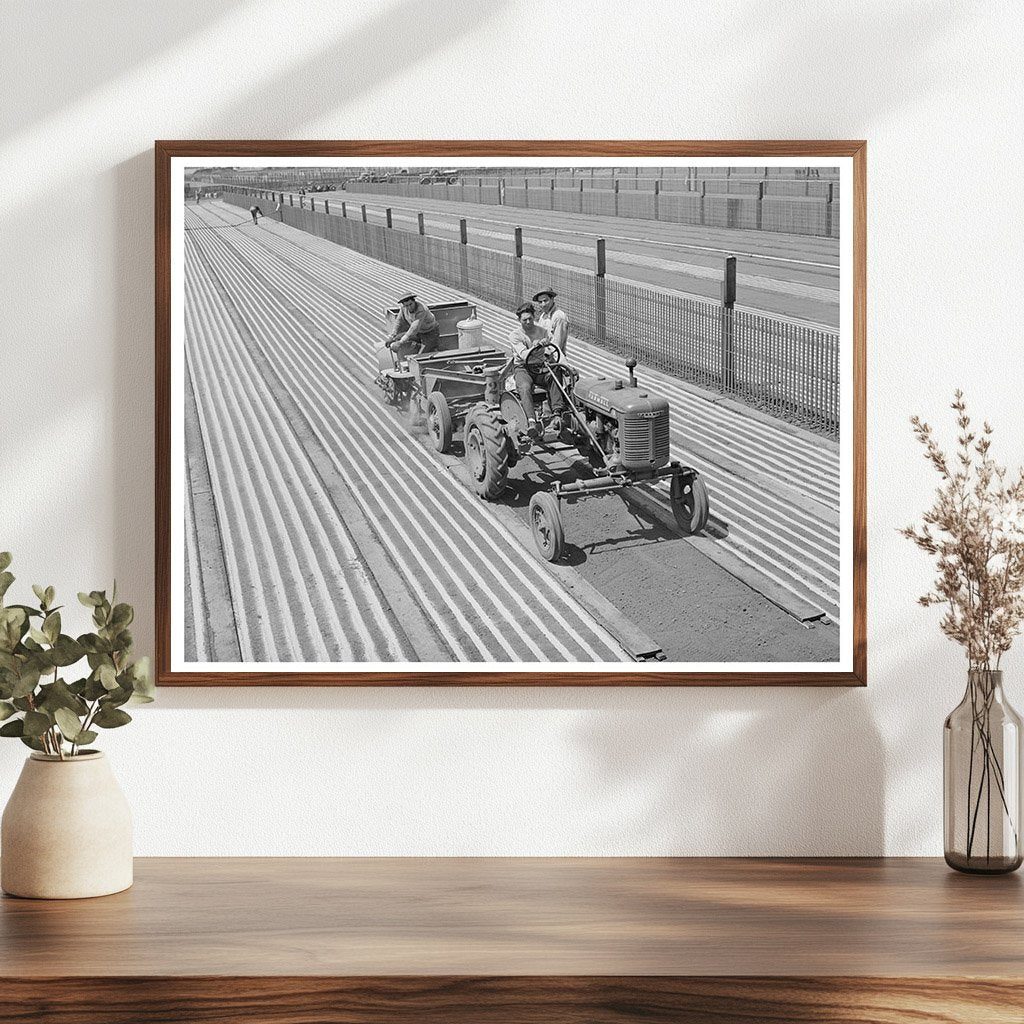 Guayule Seed Planting in Salinas California May 1942